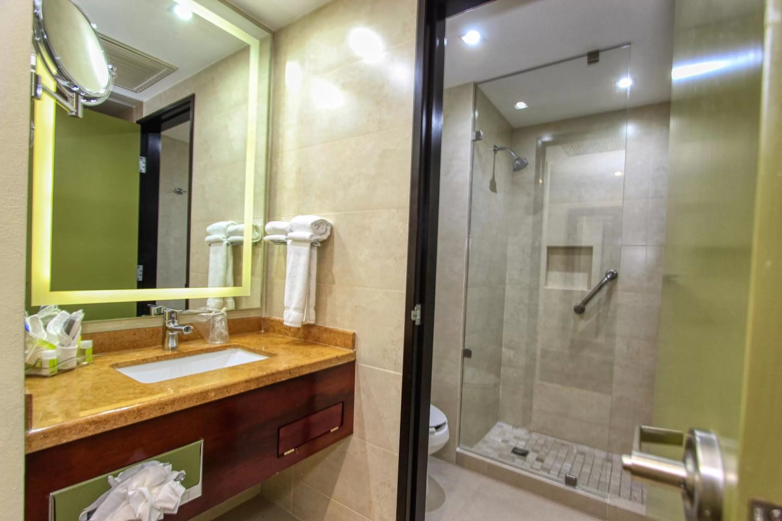 Bathroom in Holiday Inn Leon by IHG
