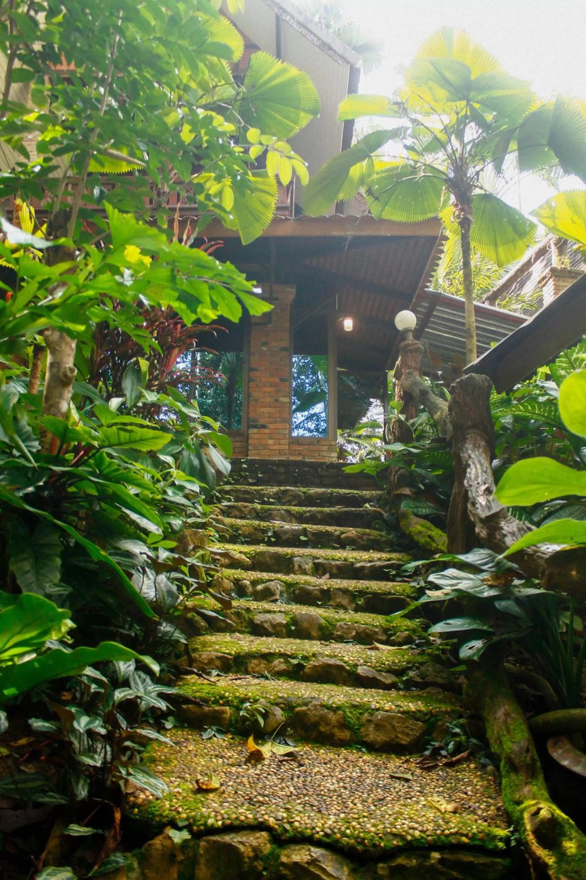 Natural landscape in Khao Sok Las Orquideas Resort