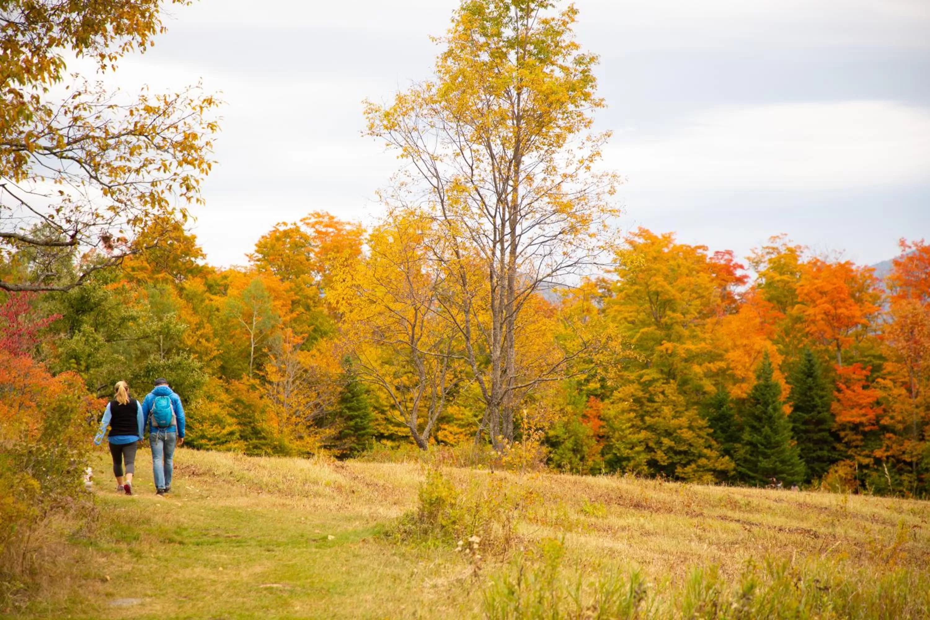 Natural landscape in Lake Placid Inn: Residences