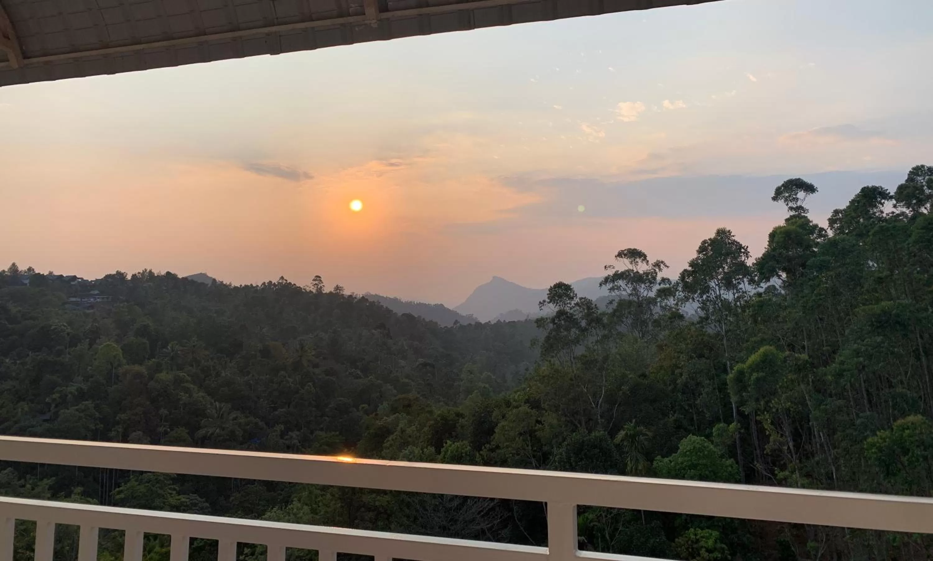 Day in HOTEL WHITE HOUSE, Munnar