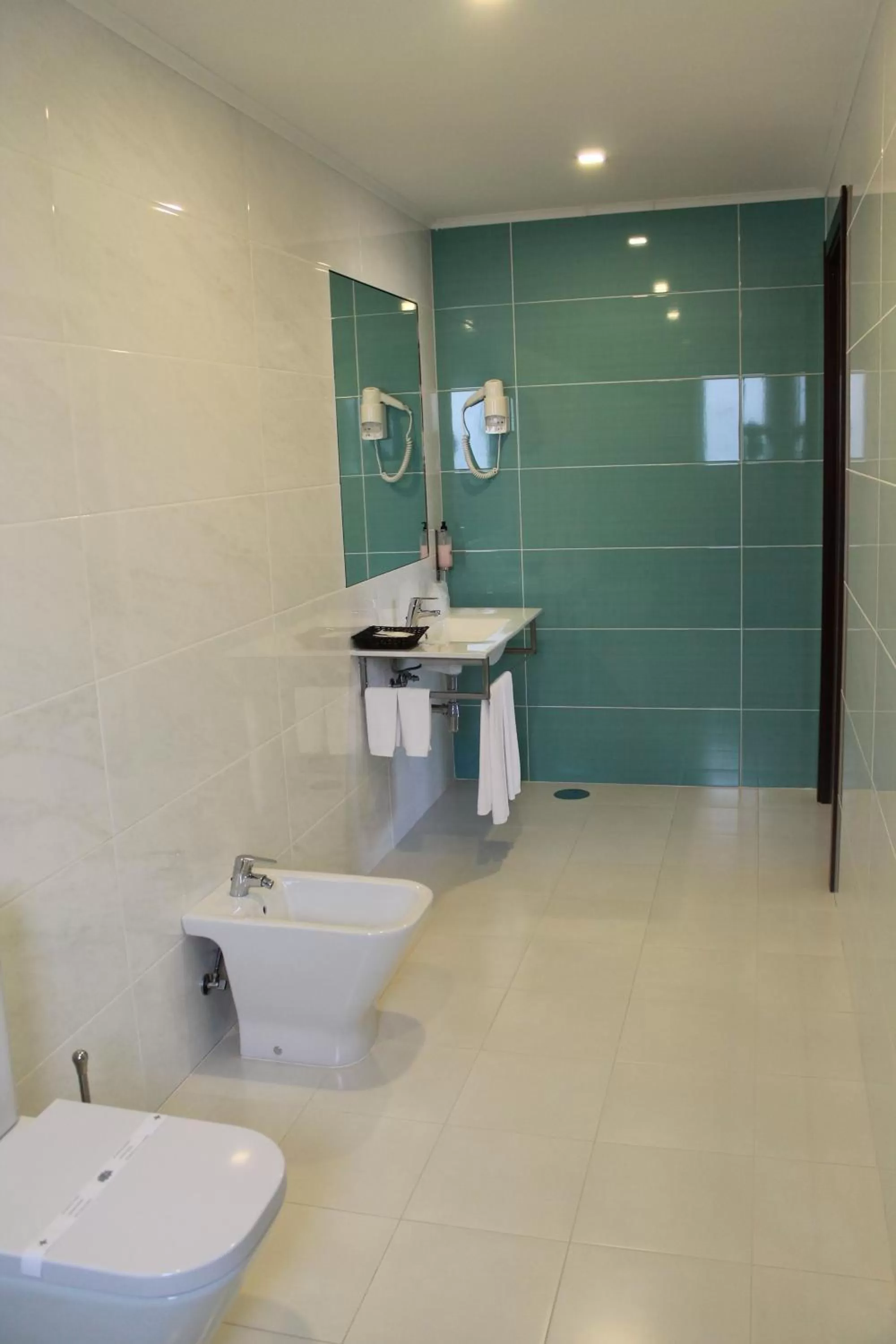 Toilet in Palace Hotel & SPA Termas do Bicanho