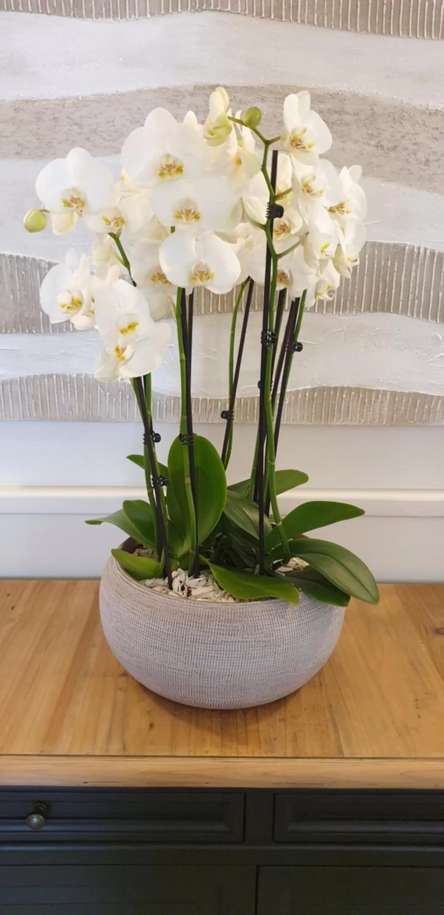 Decorative detail in Hôtel l'Arena