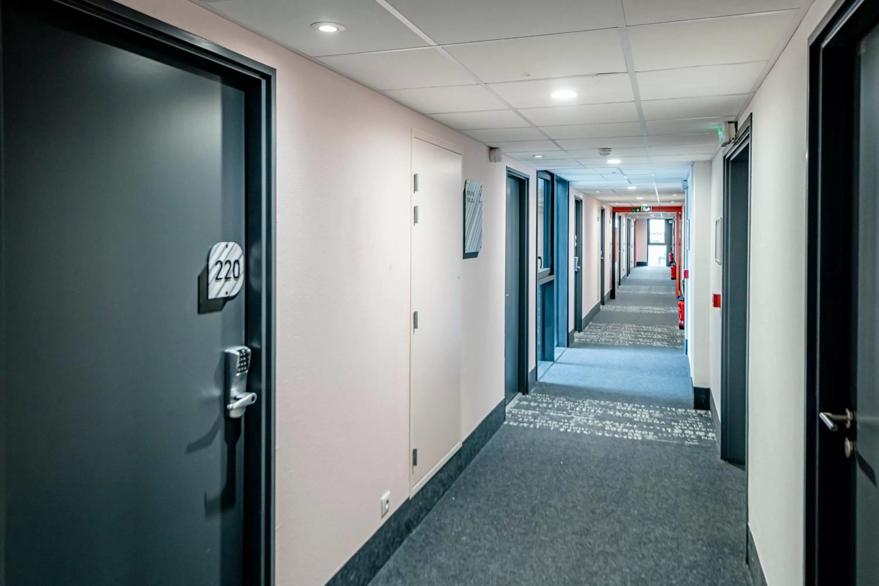 Decorative detail in B&B HOTEL Fort-de-France