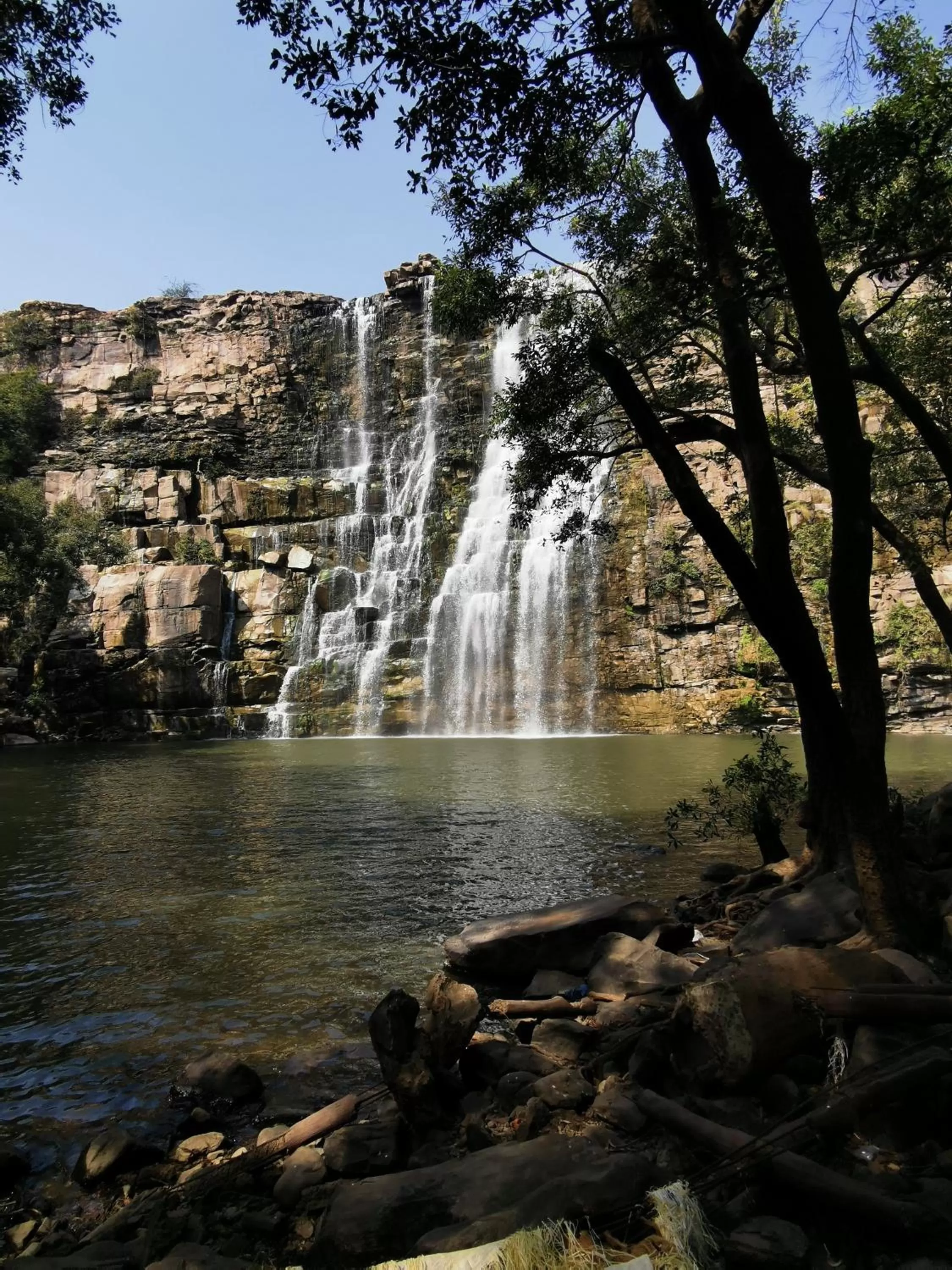 Activities in Haveli Elephant Stable