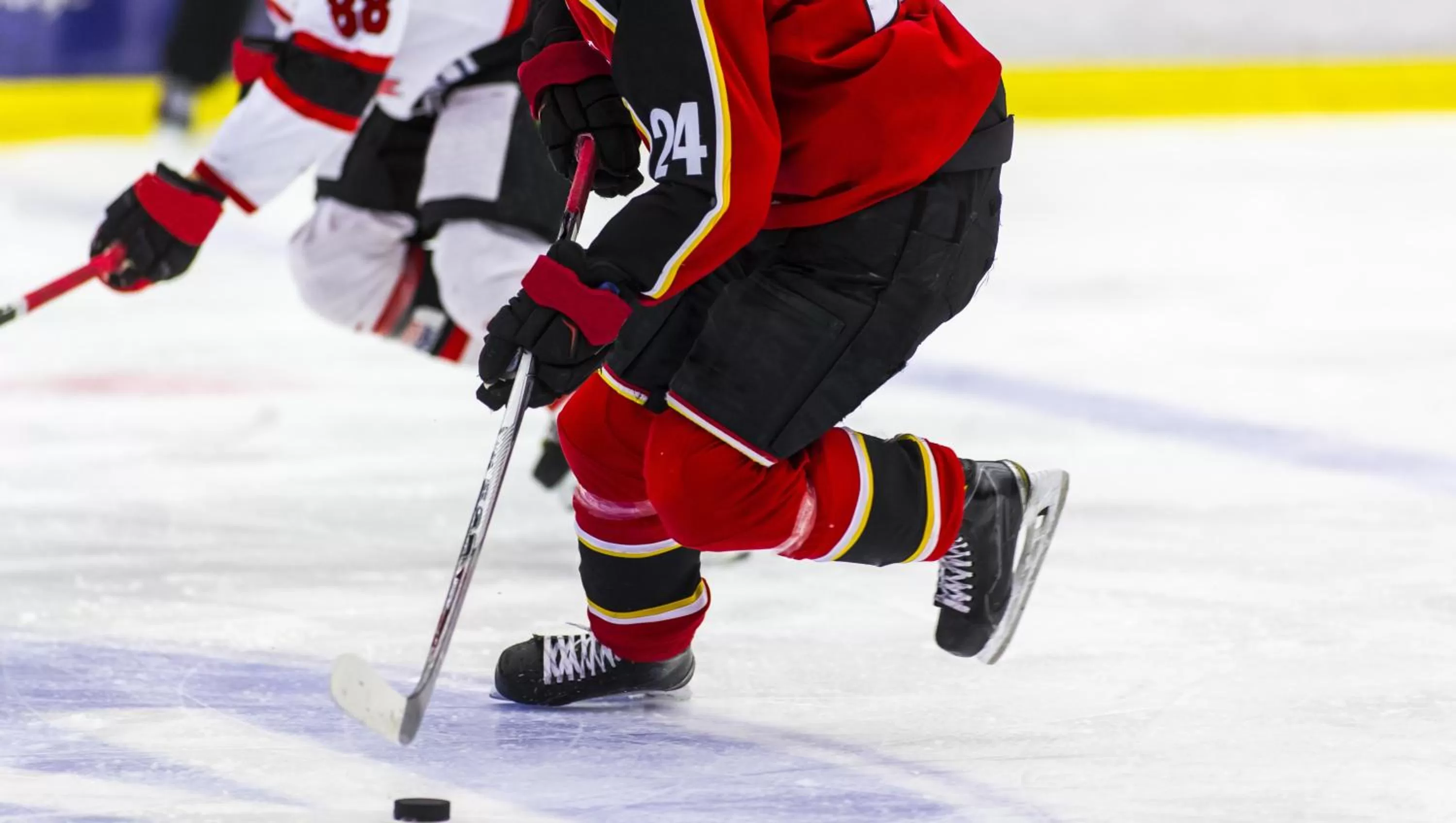 Entertainment in WAFER 450 Hotel