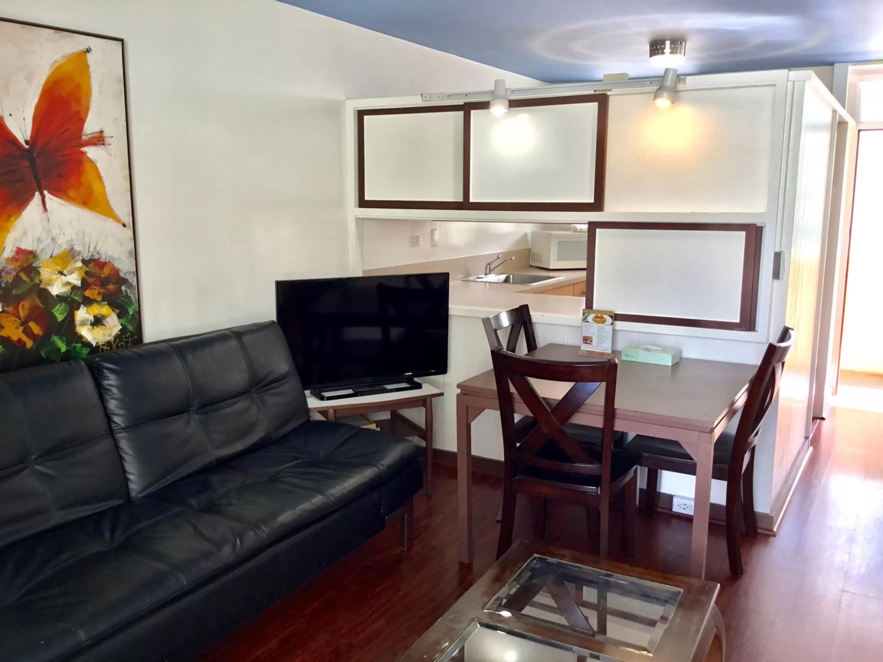 TV and multimedia in Holiday Surf Hotel (with full kitchen)