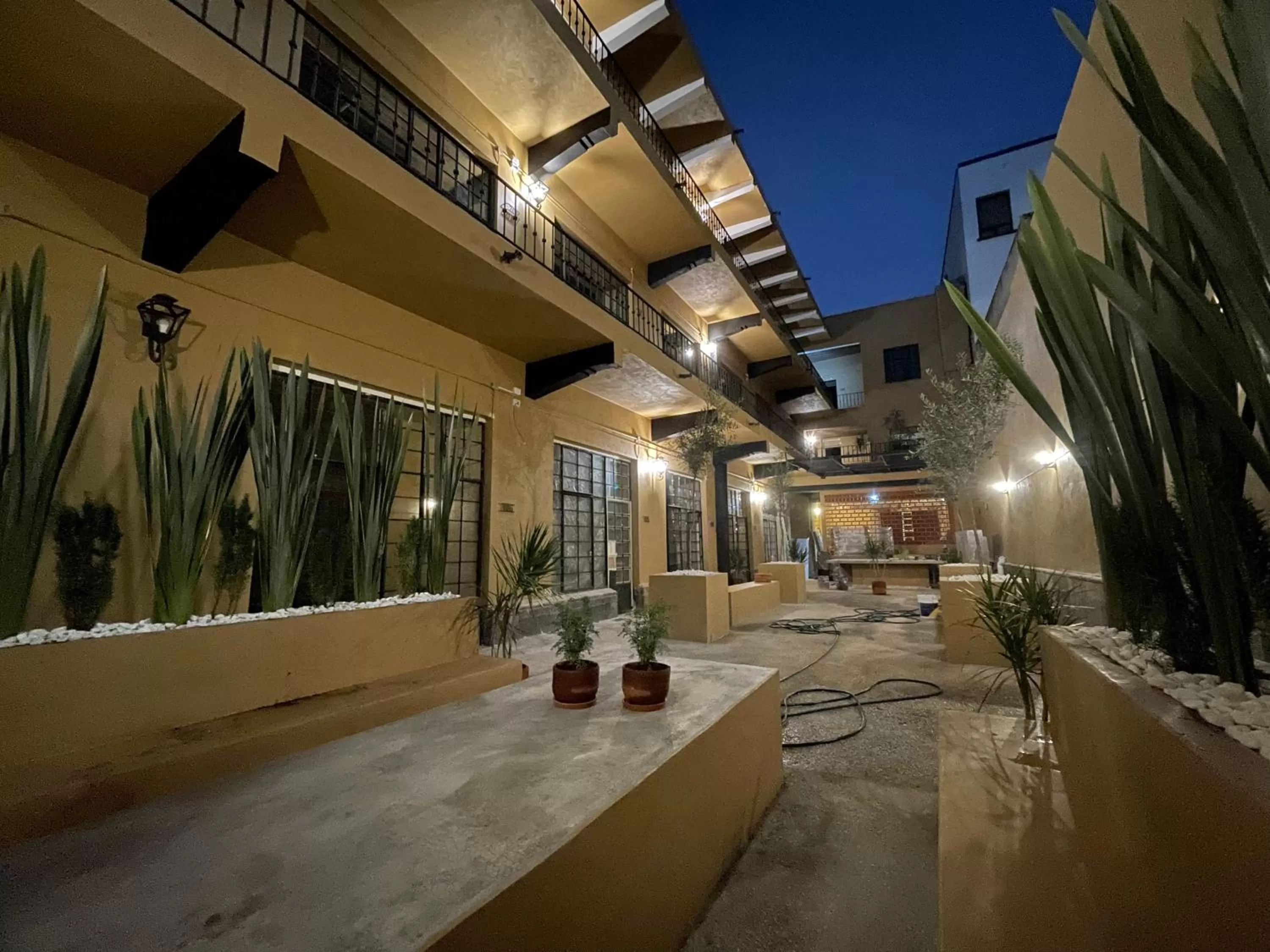 Patio in Colmena Hotel CDMX Centro