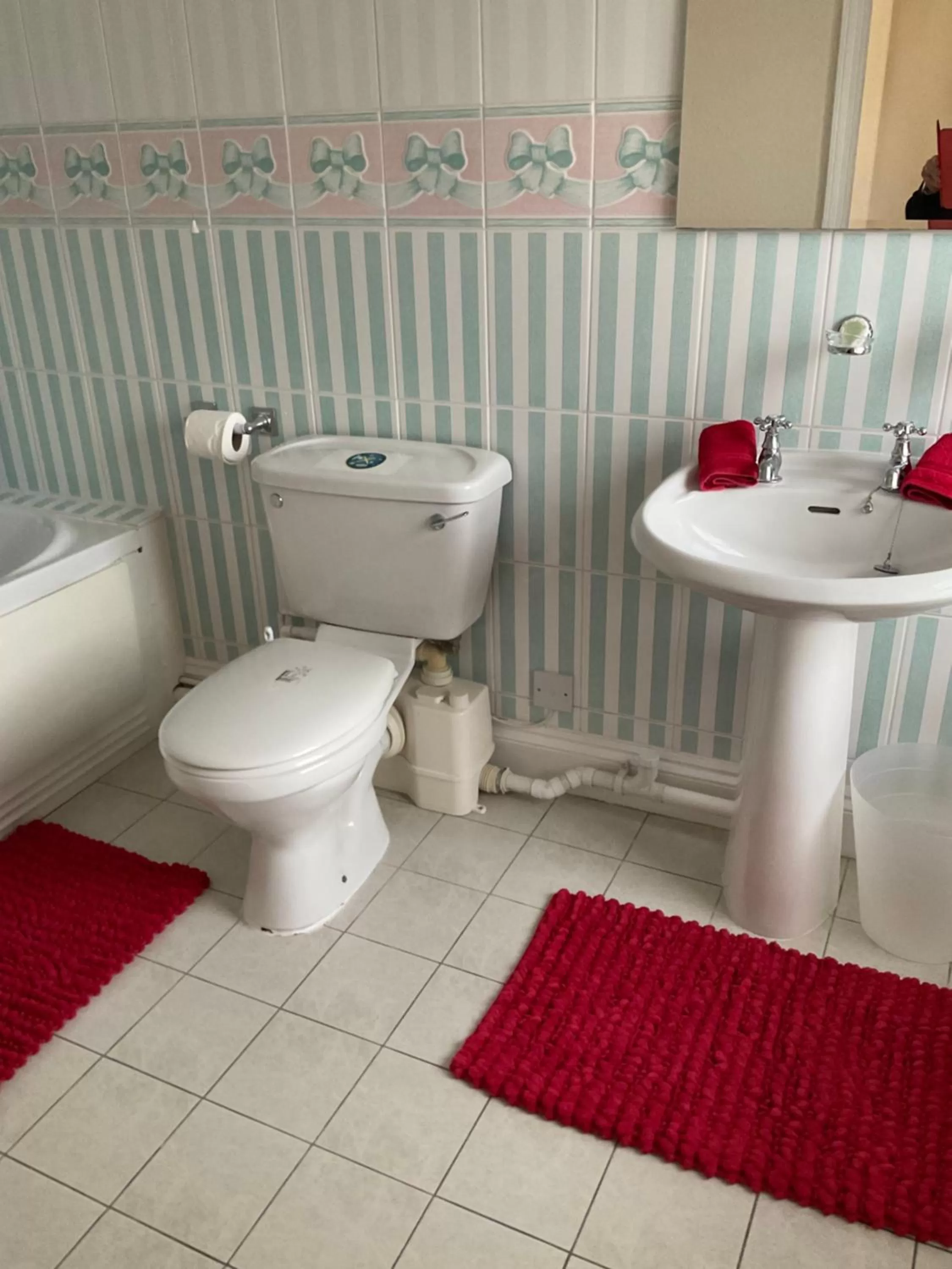 Bathroom in No 52 bed and breakfast