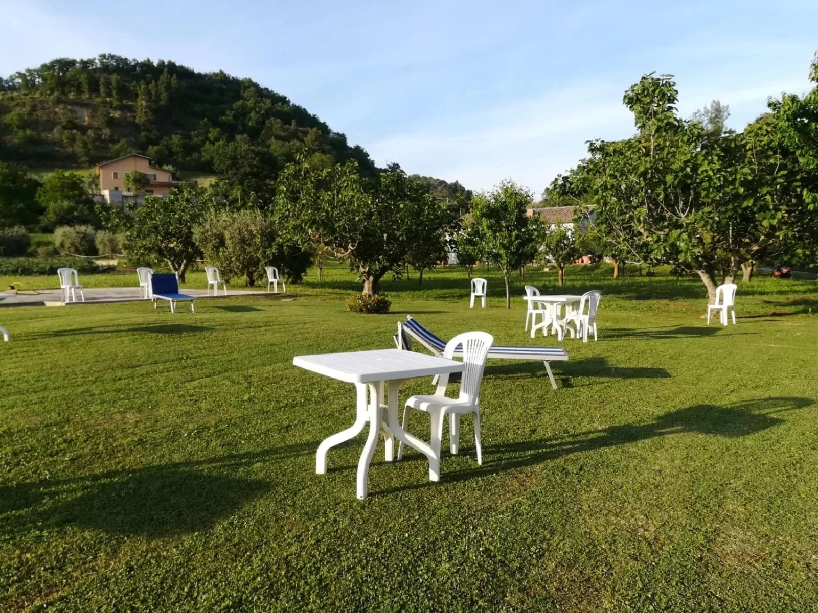 Garden in Agriturismo La Cantina