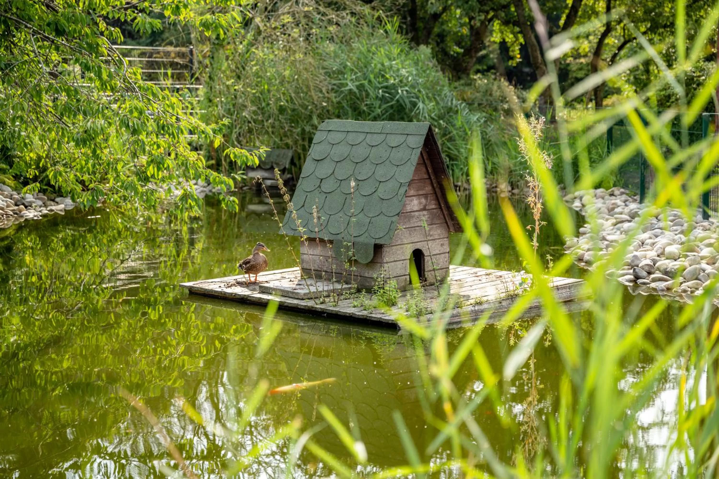 Garden in Köhlers Forsthaus Wellness & Genuss Hotel