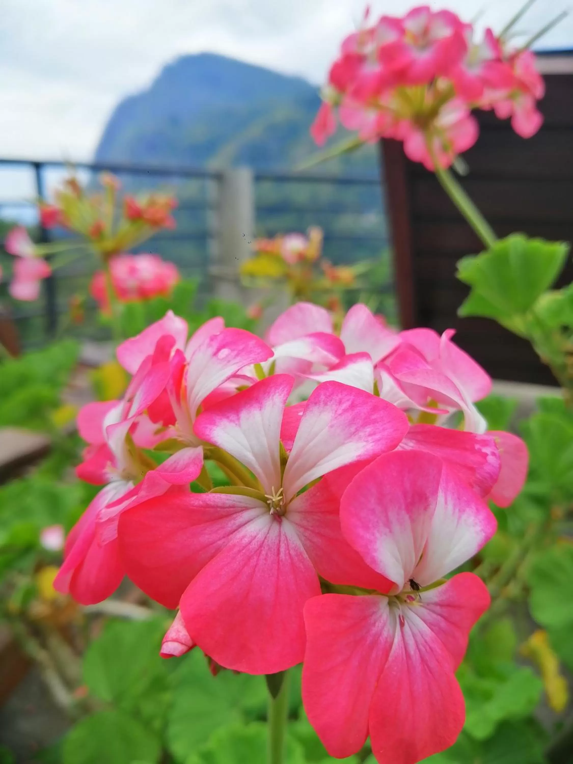 Decorative detail in Zion View Ella Green Retreat