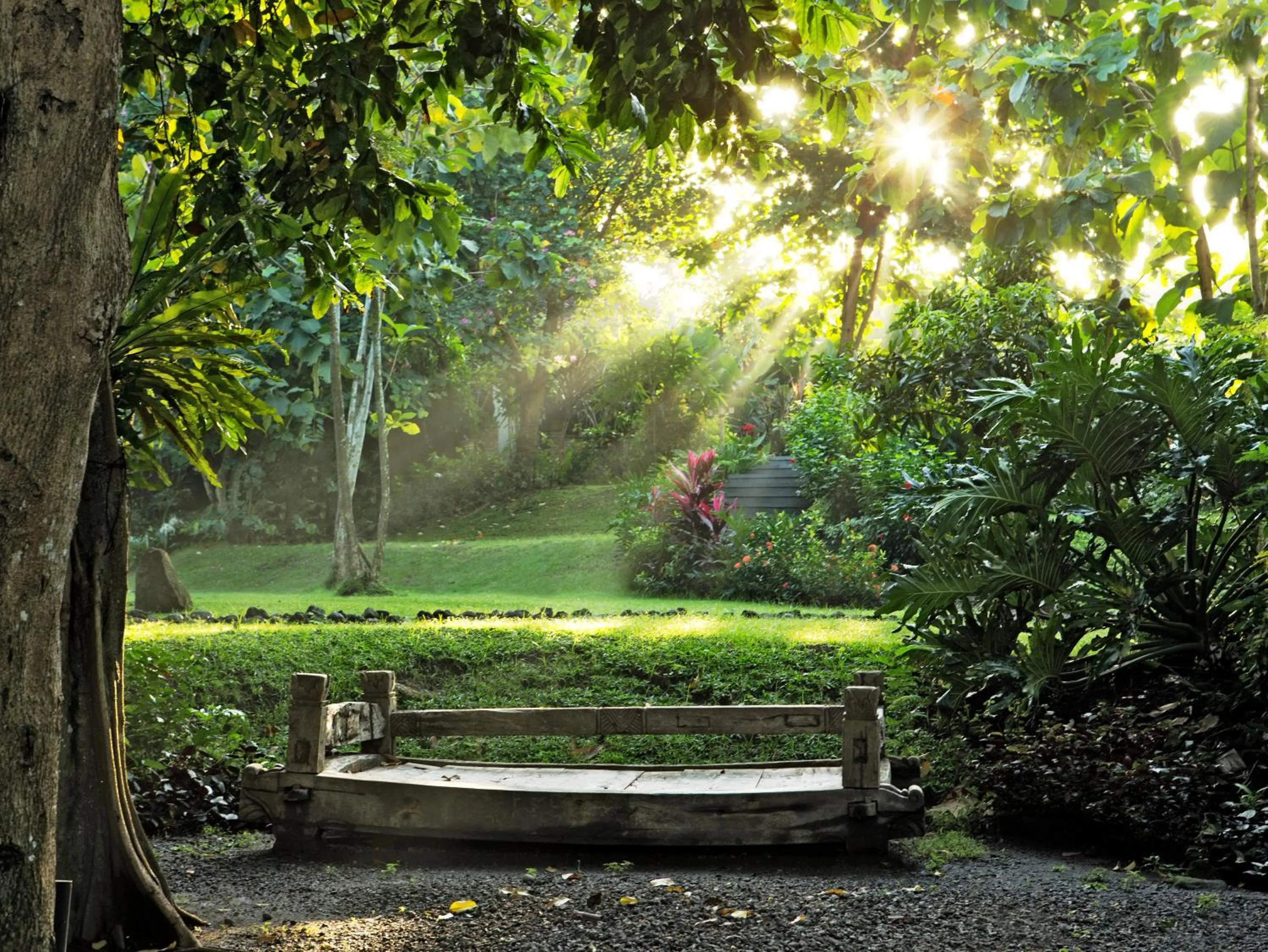 Garden in Villa Canggu by Plataran