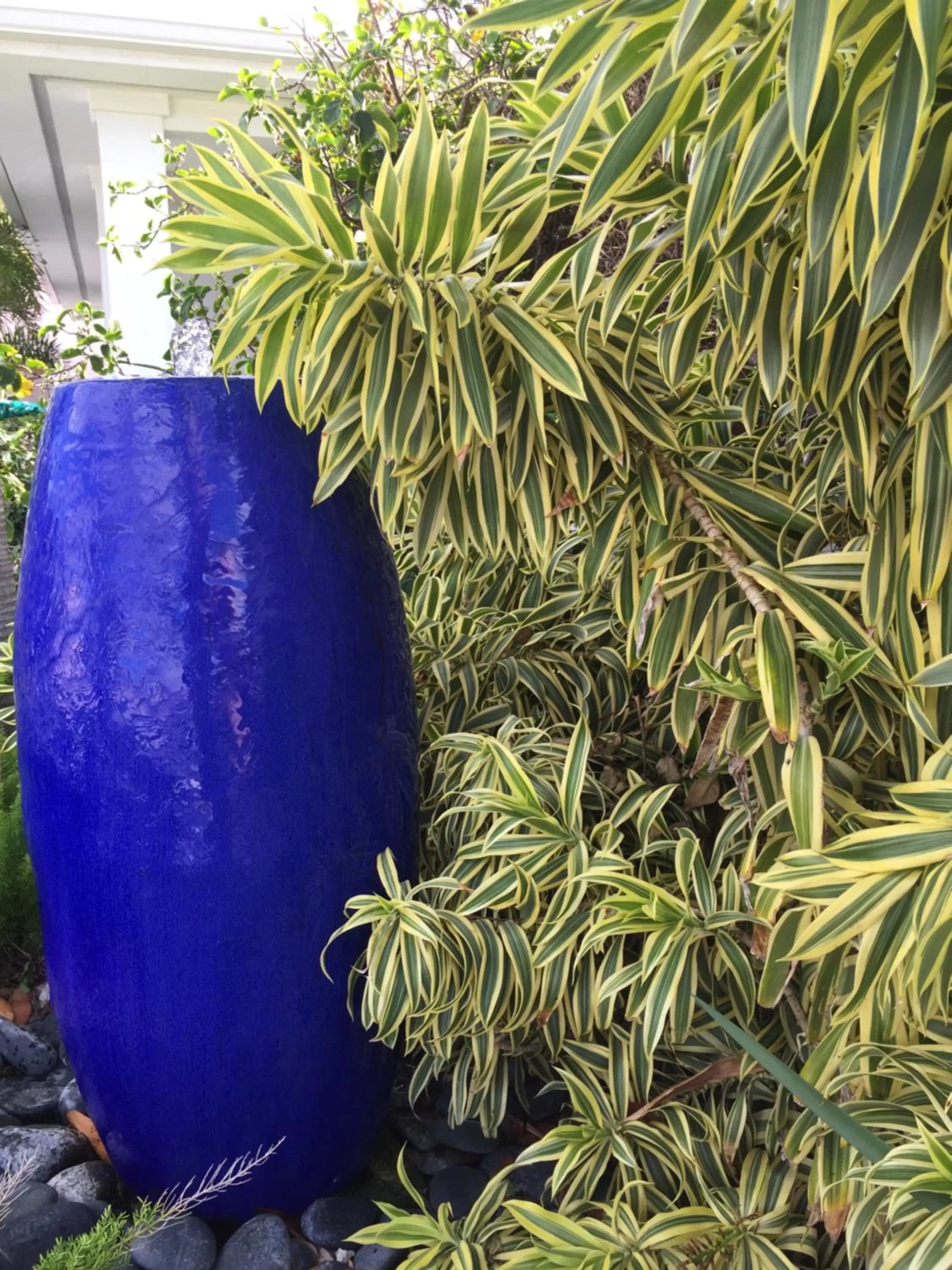 Garden in 4145 By The Sea Inn & Suites