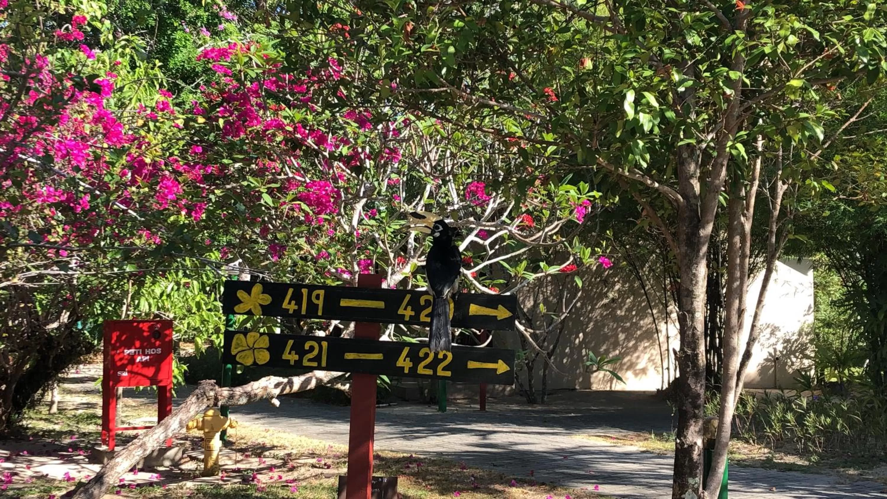 Garden in Frangipani Langkawi Resort