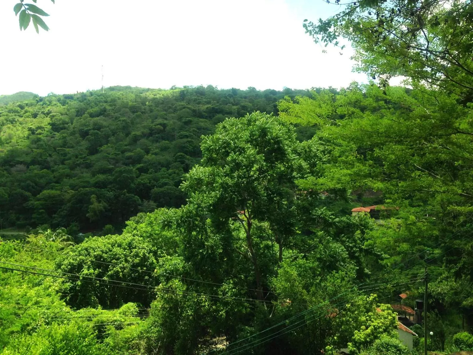 Mountain view, Natural Landscape in Hotel Terrazas de la Candelaria
