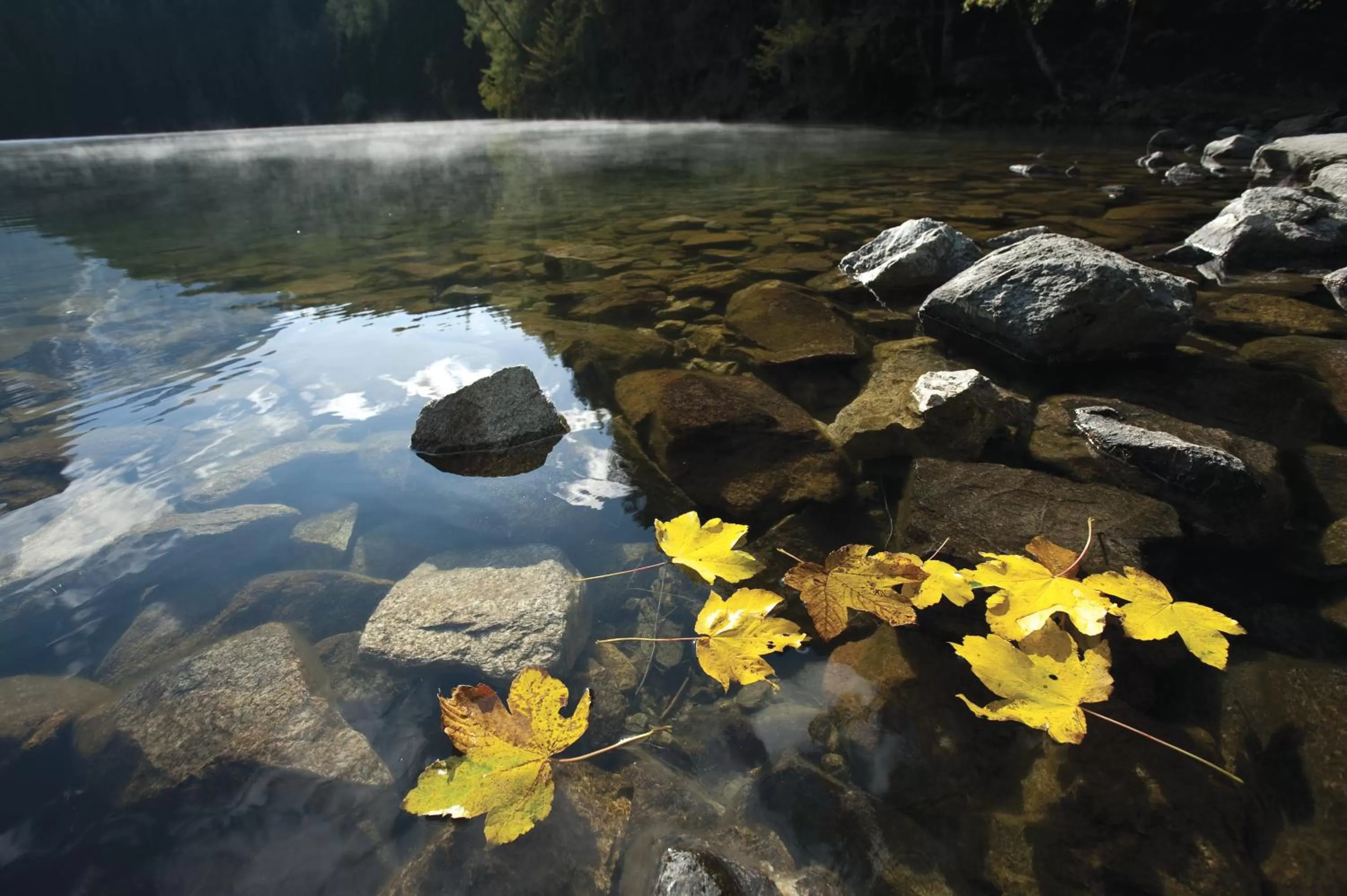 Hiking in Gasthof zum Stern