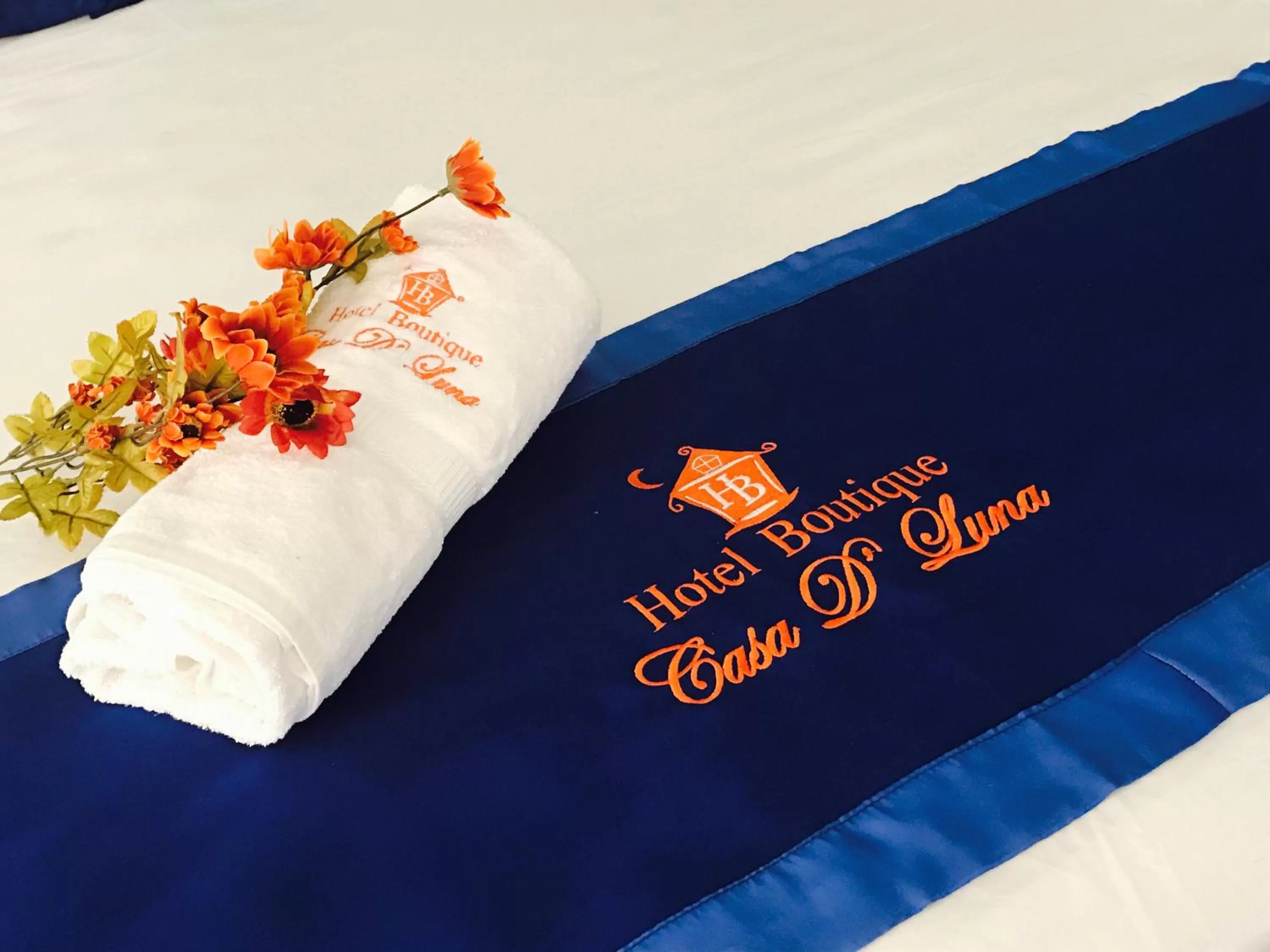 Property Logo/Sign in Hotel Boutique Casa D' Luna