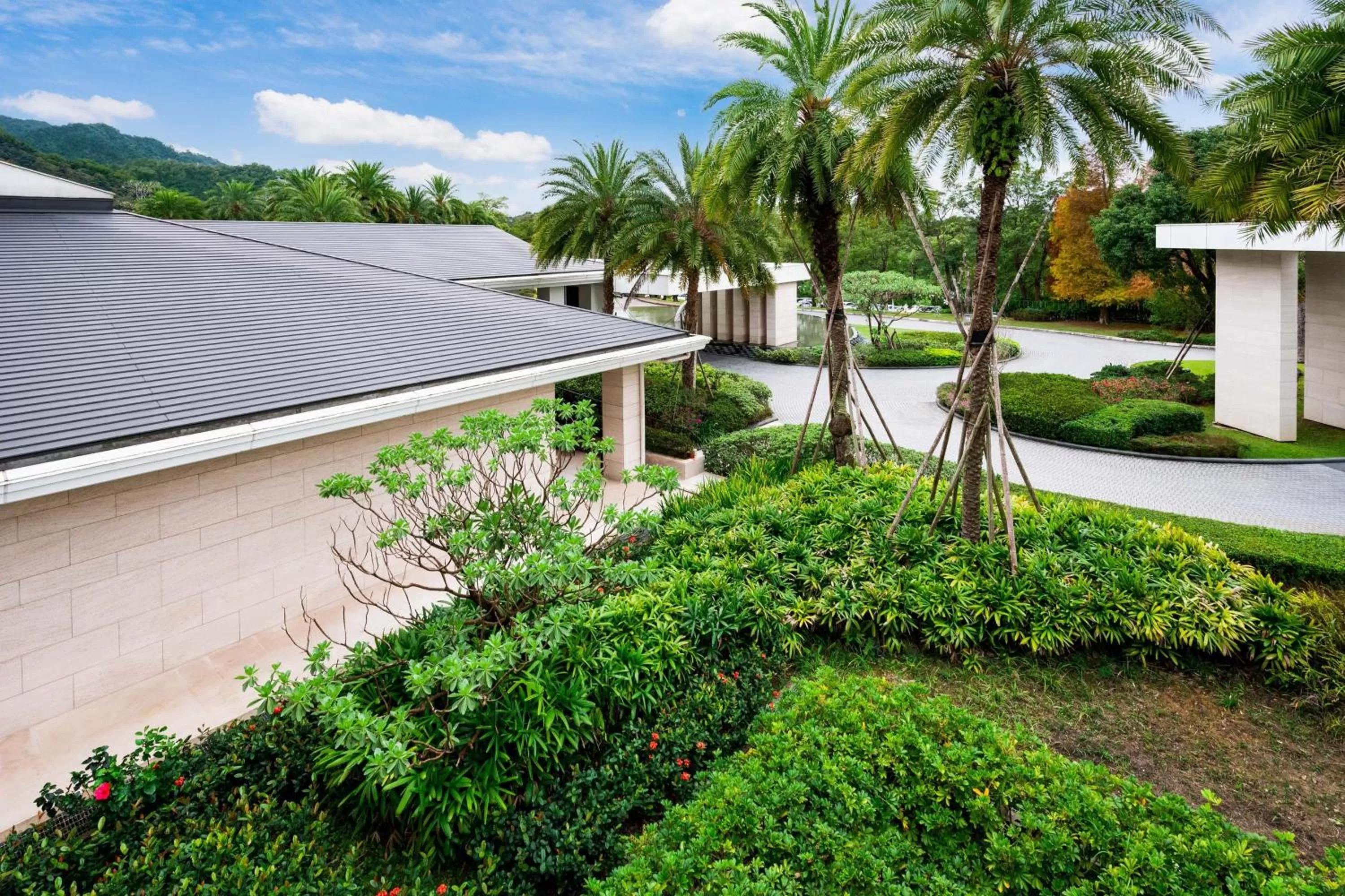 Photo of the whole room in The Westin Tashee Resort, Taoyuan