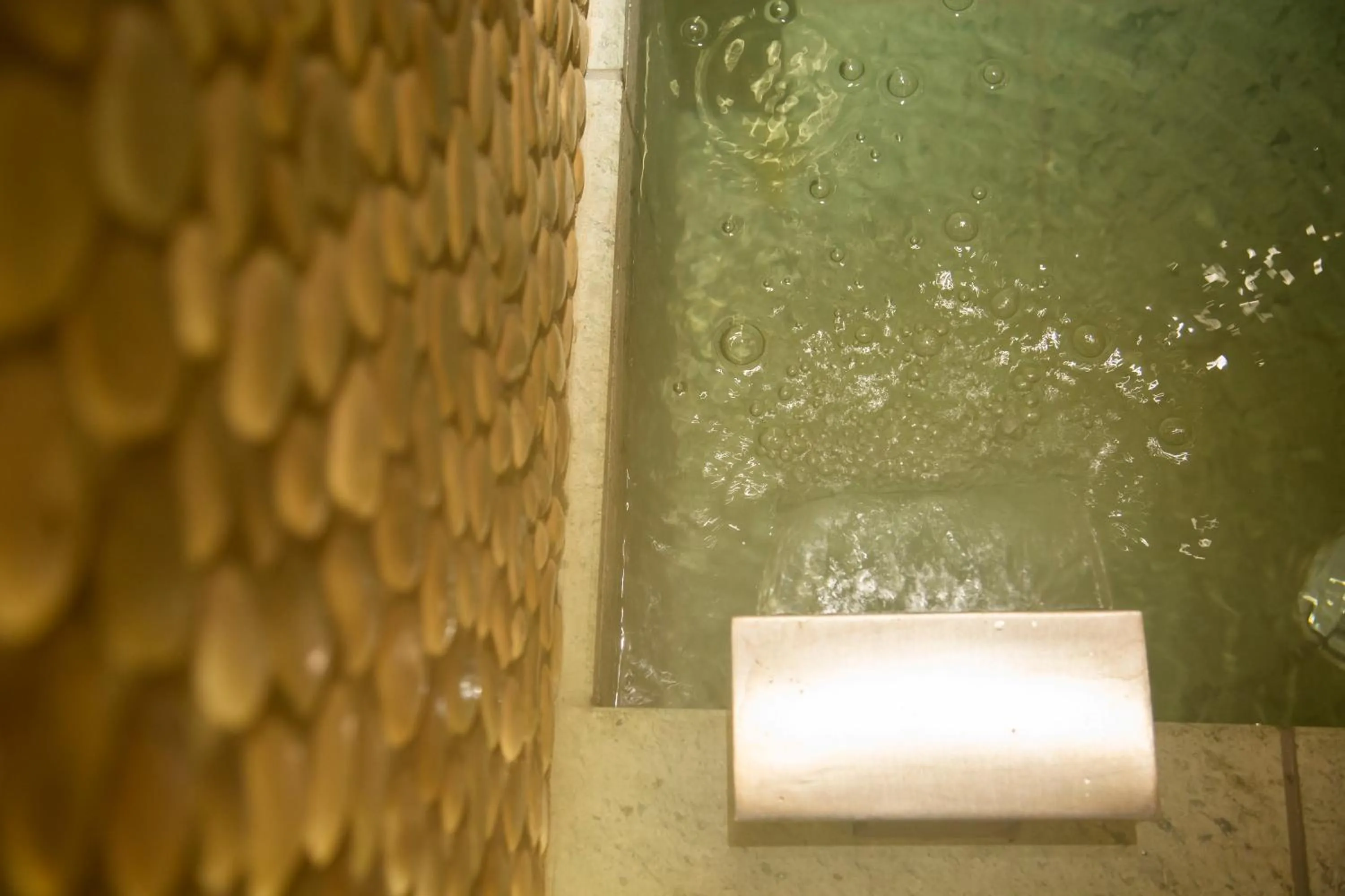 Area and facilities in The Hotel Seiryu Kyoto Kiyomizu - a member of the Leading Hotels of the World-