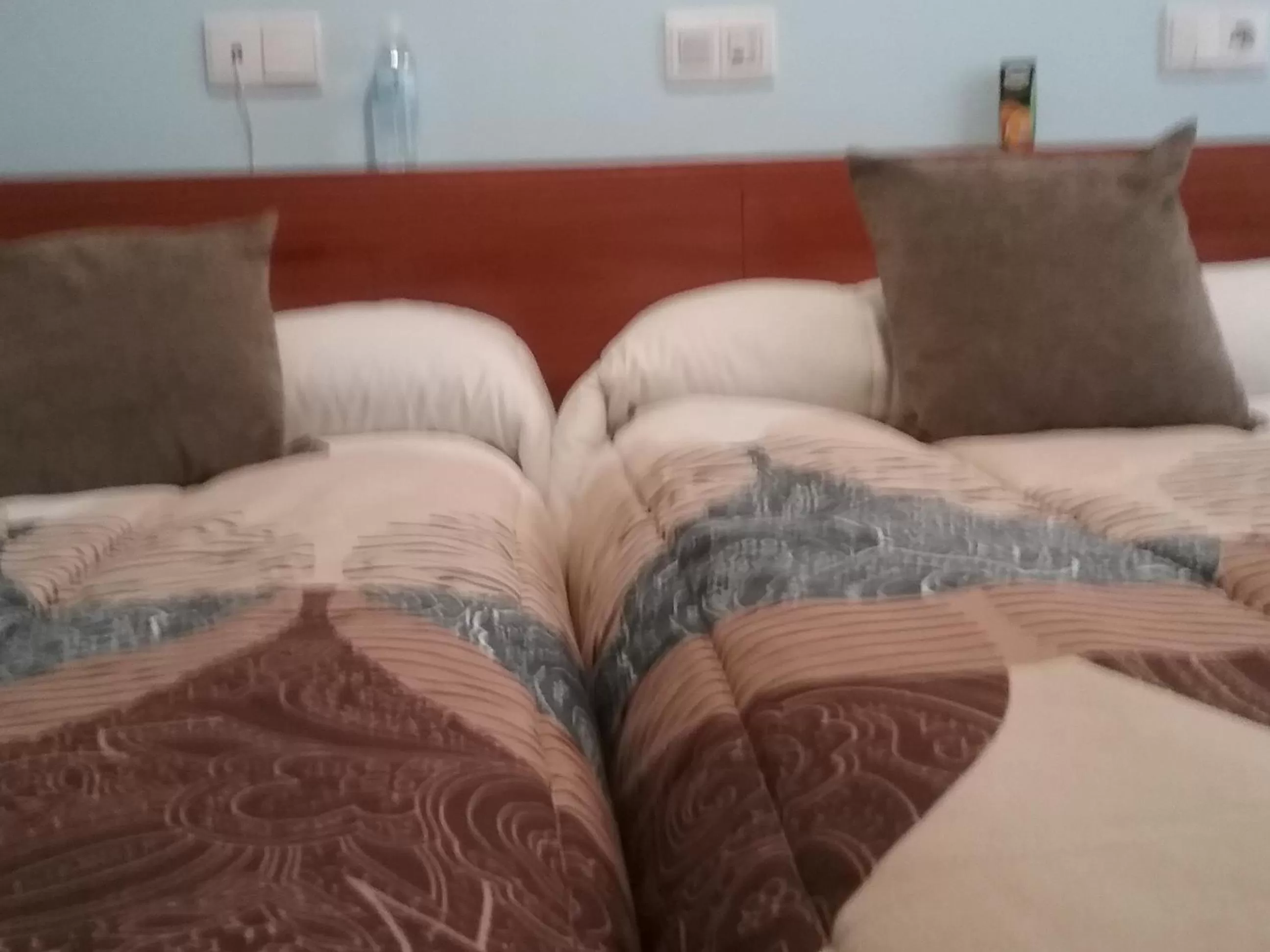 Bed in Hostal Campus