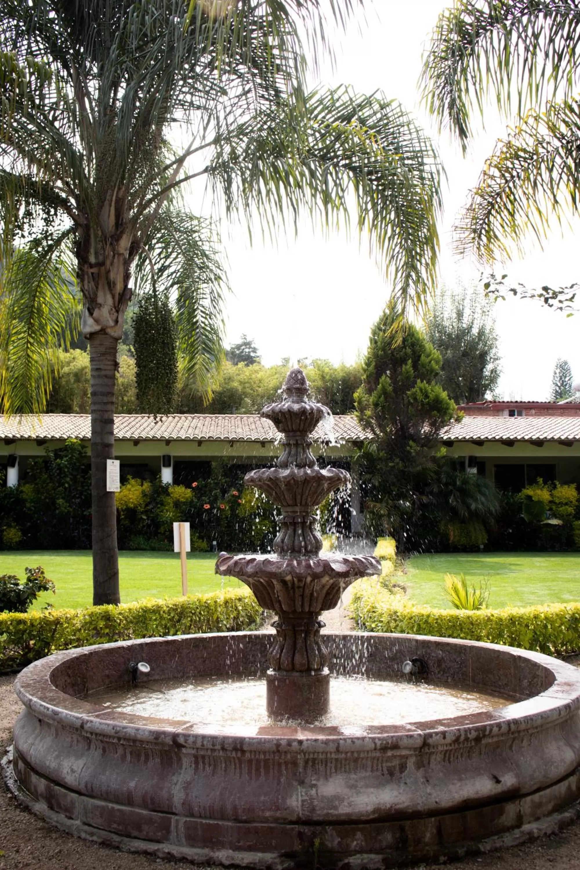 Garden in Posada La Presa
