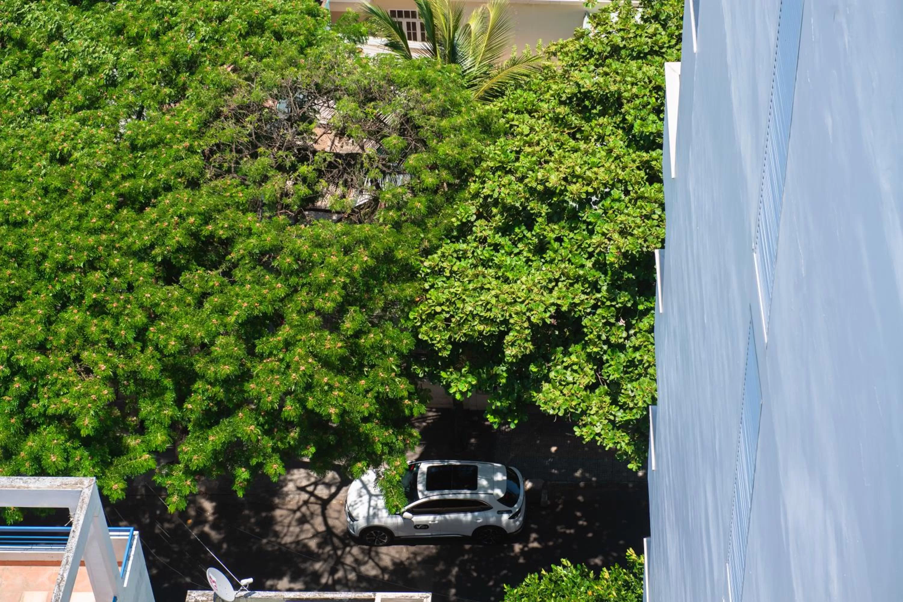 Spring in Seven Seas Hotel Nha Trang