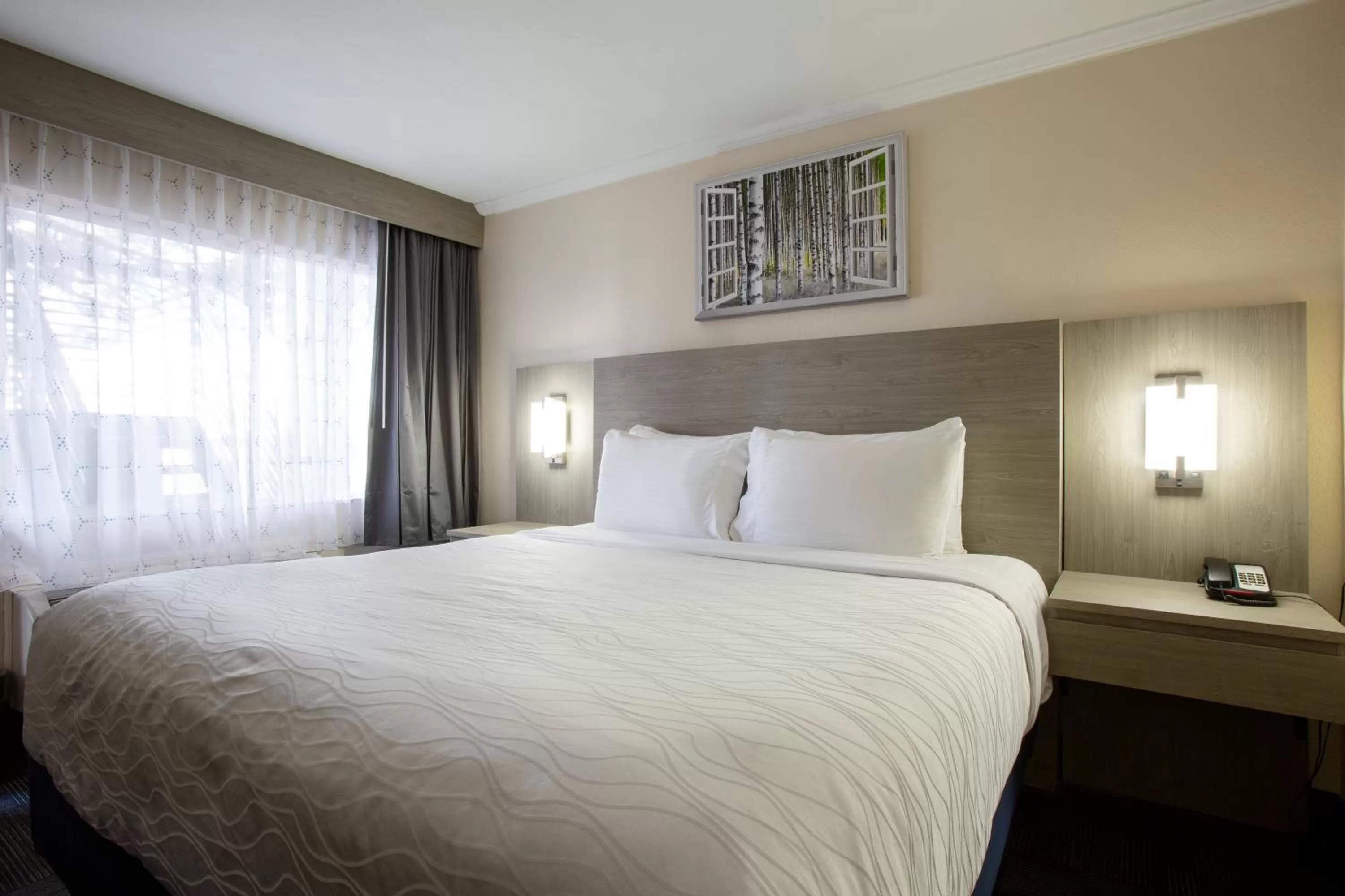 Bedroom, Bed in Hotel Aspen Flagstaff/ Grand Canyon InnSuites