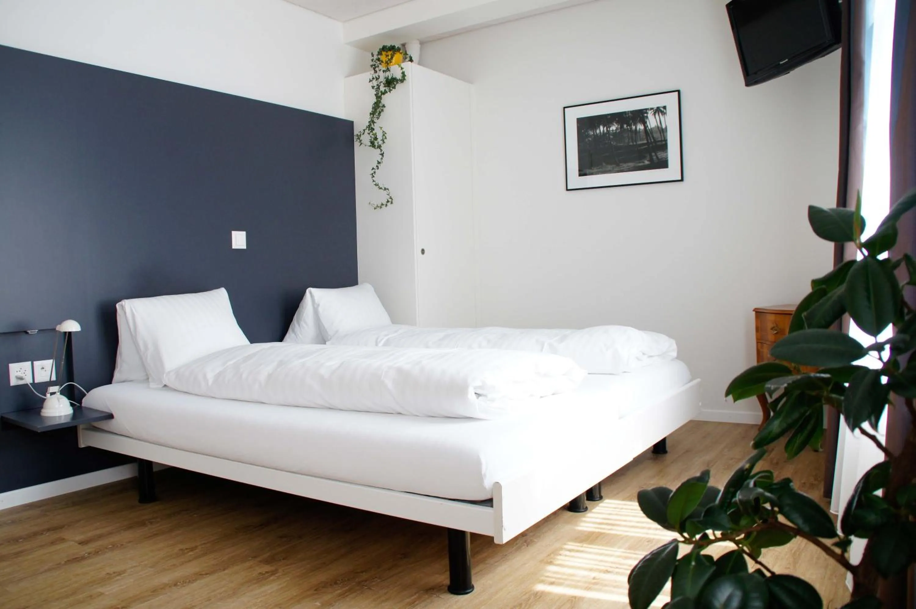 Photo of the whole room in Hotel Vadian Garni