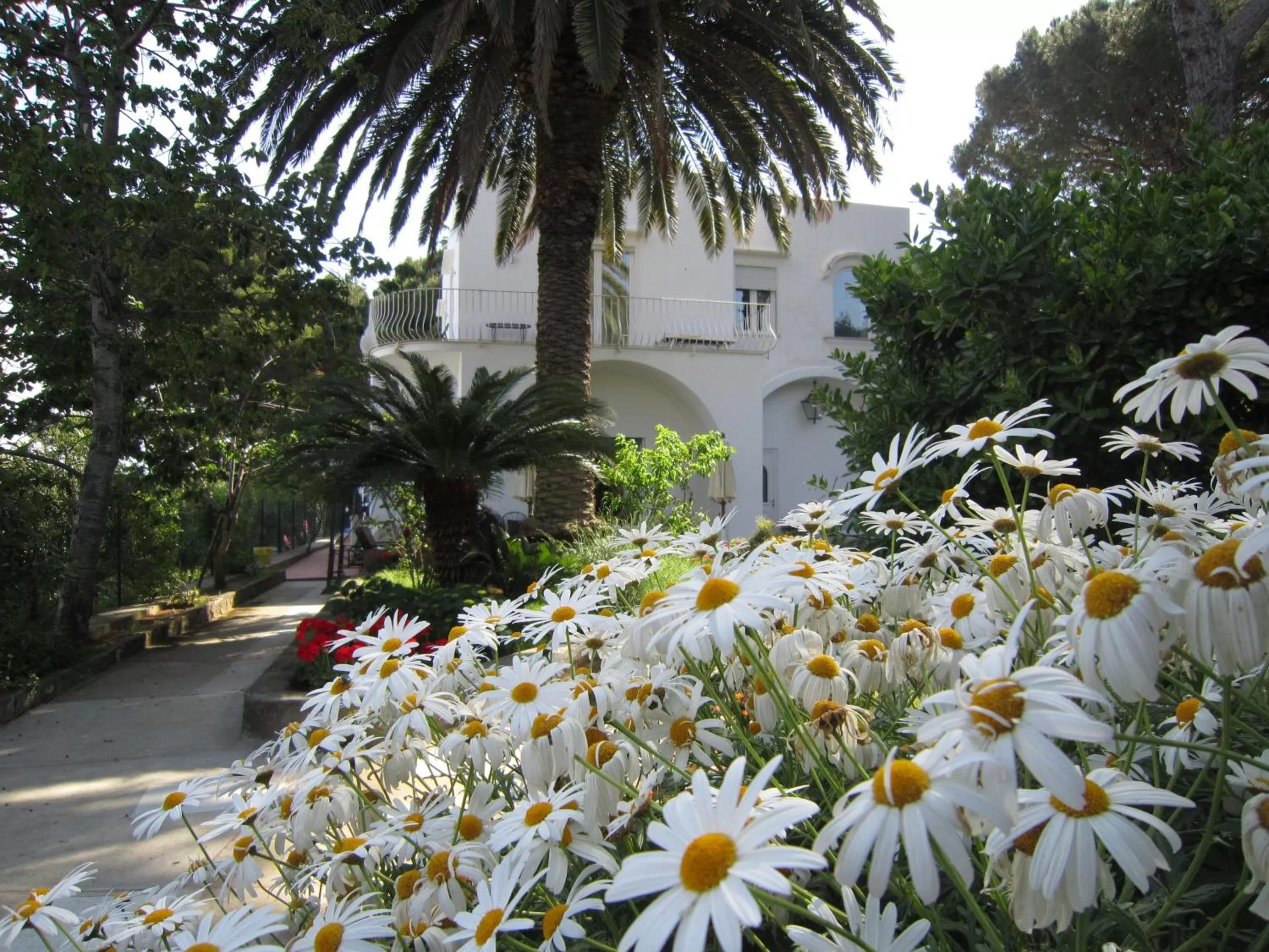 Spring in B&B Il Sogno