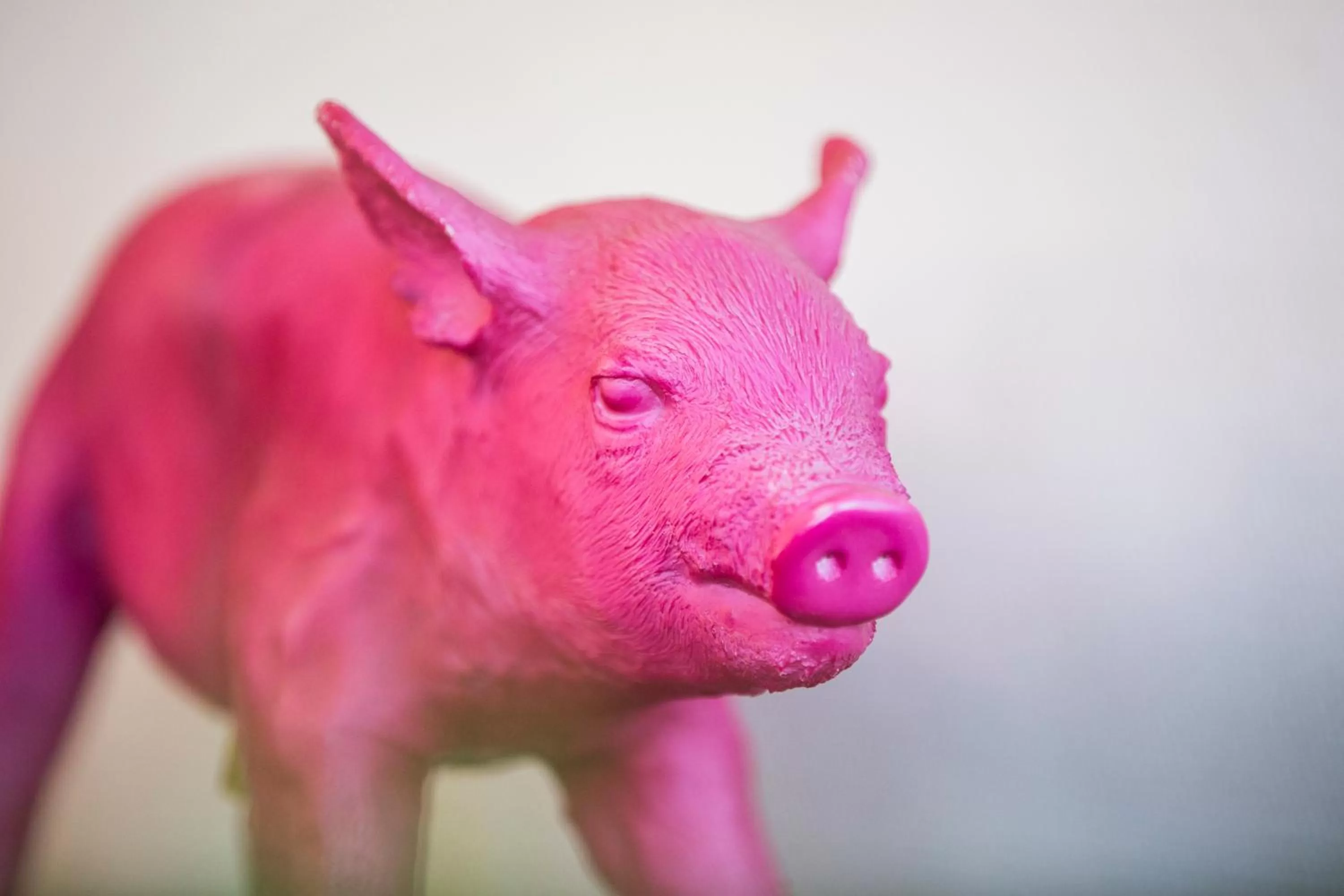 Lobby or reception in Auszeit Hotel Düsseldorf - das Frühstückshotel