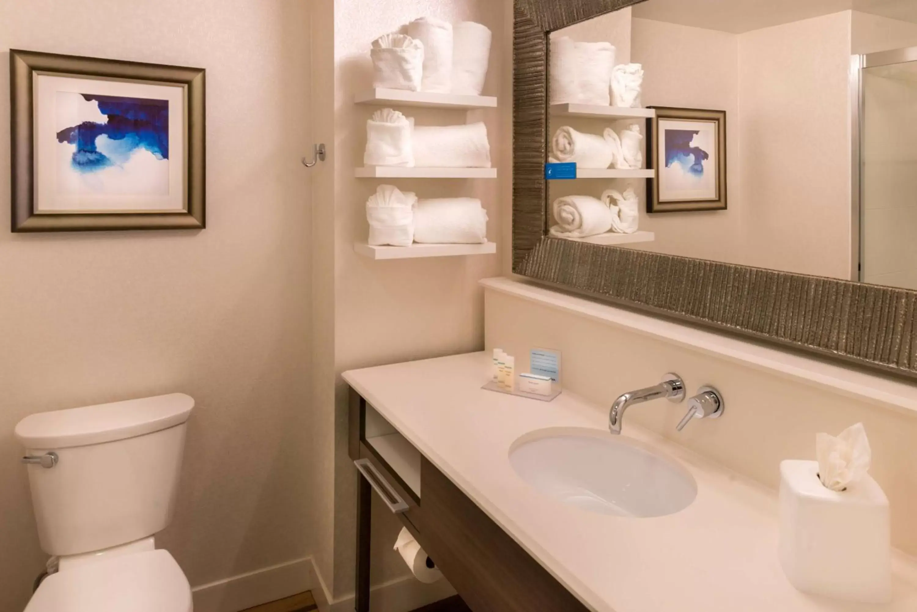 King Room with Walk-in Shower - Non-Smoking in Hampton Inn & Suites Orlando-East UCF King Room with Walk-in Shower - Non-Smoking in Hampton Inn & Suites Orlando-East UCF