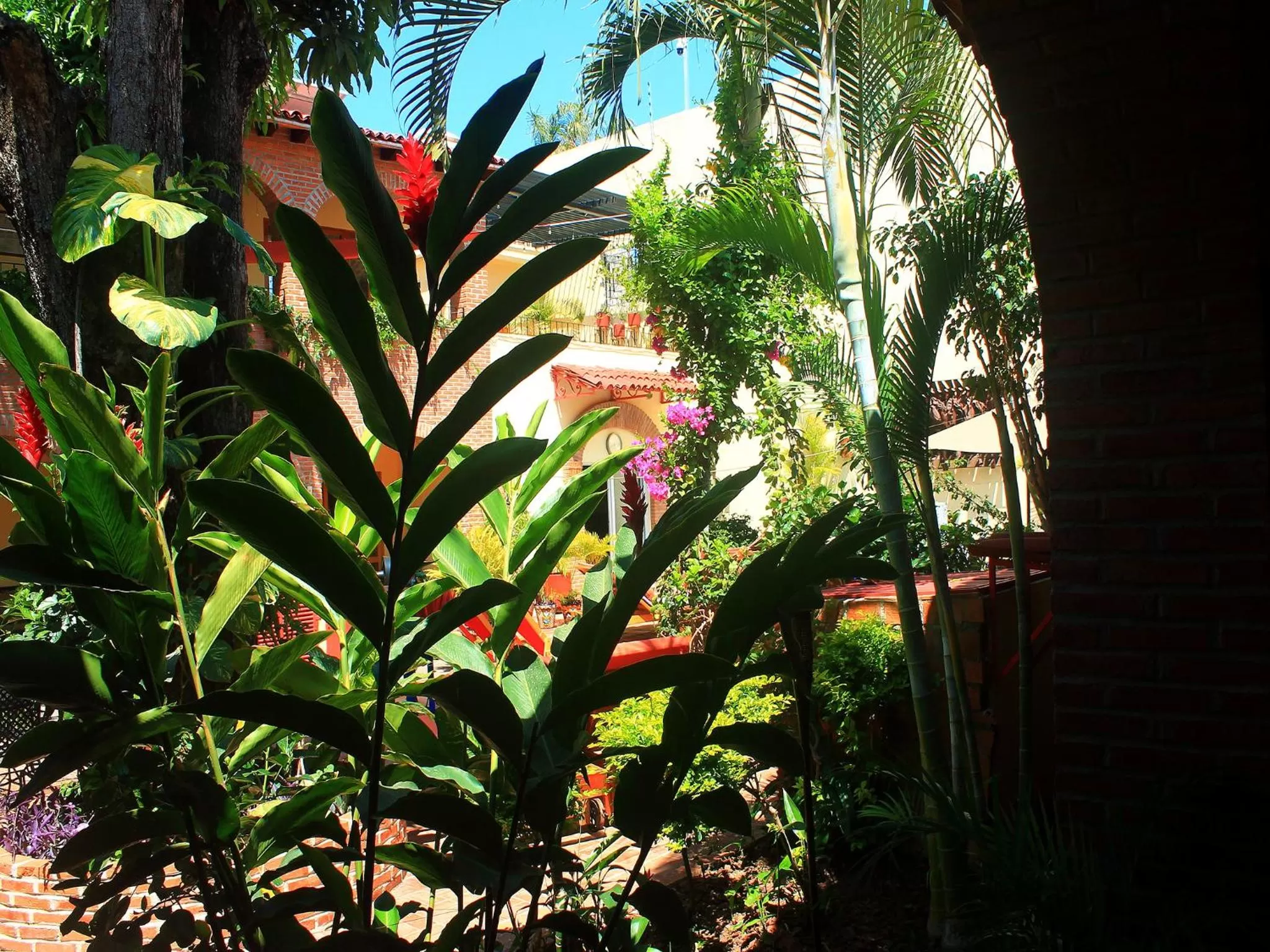 Patio in Hacienda Escondida Puerto Vallarta