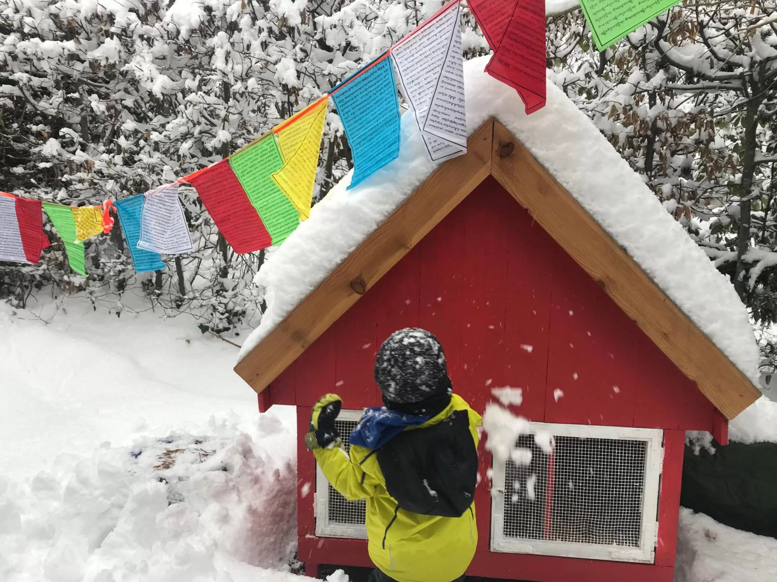 Winter in Bed and Breakfast Bavaria München