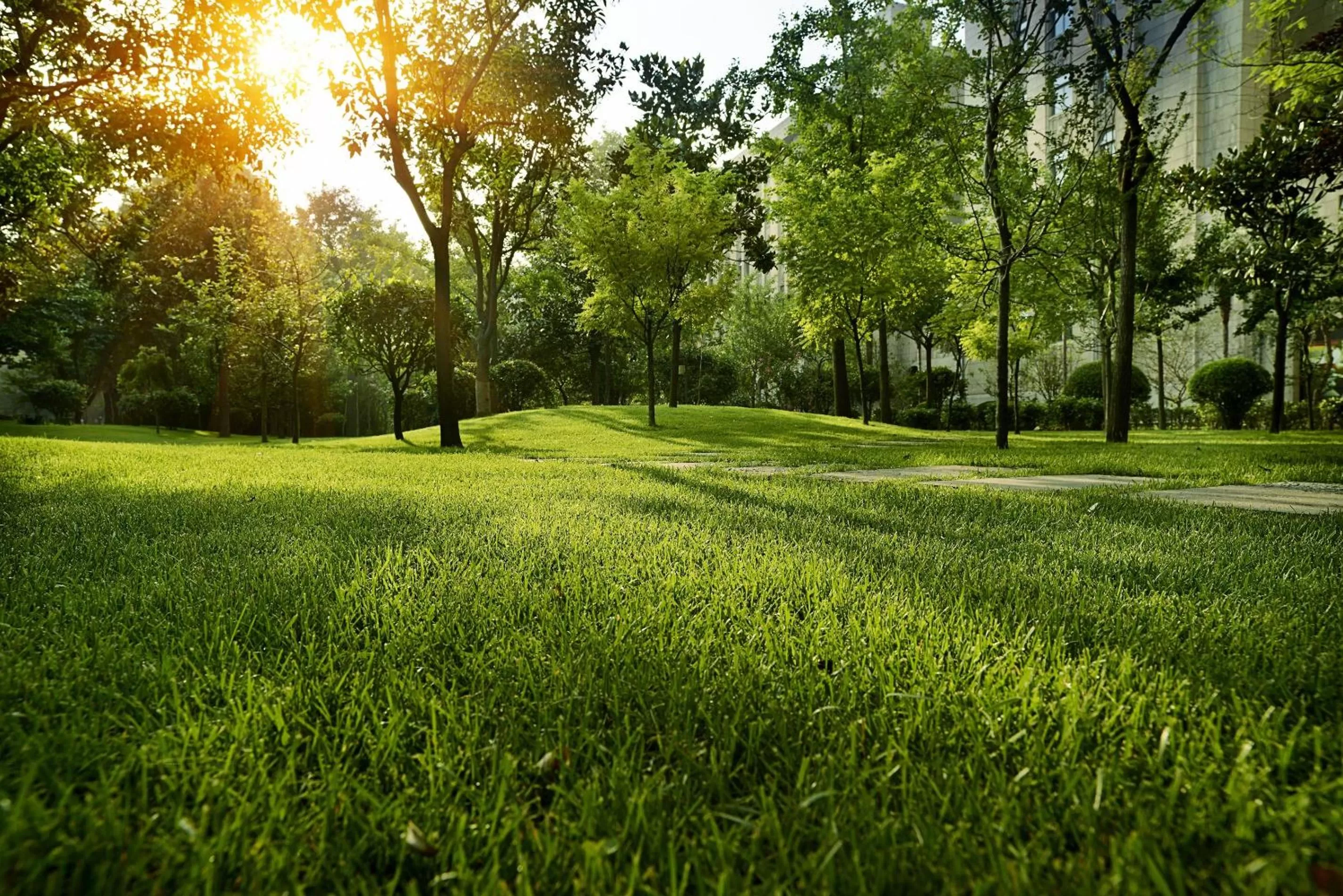 Area and facilities in Grand Mercure Xian On Renmin Square