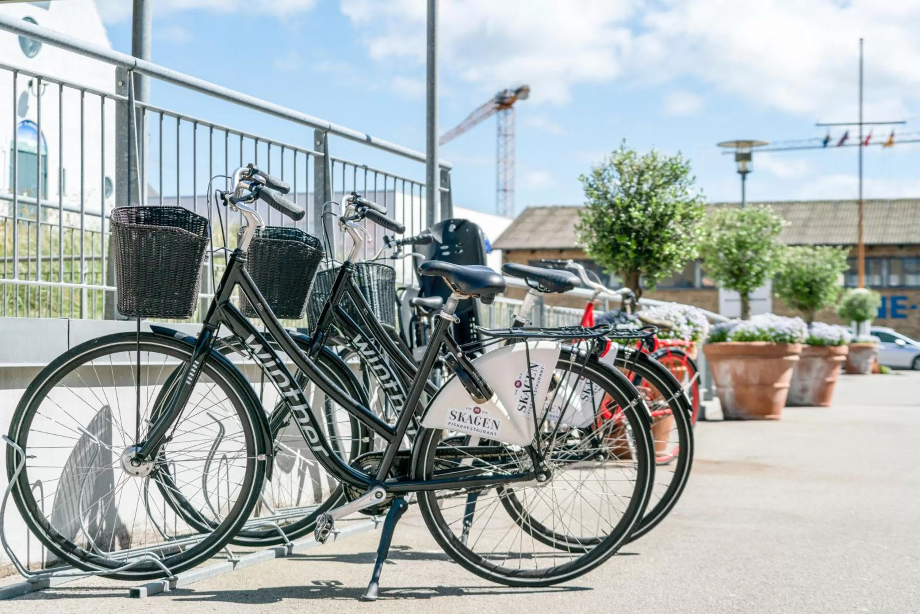 Activities in Skagen Harbour Hotel