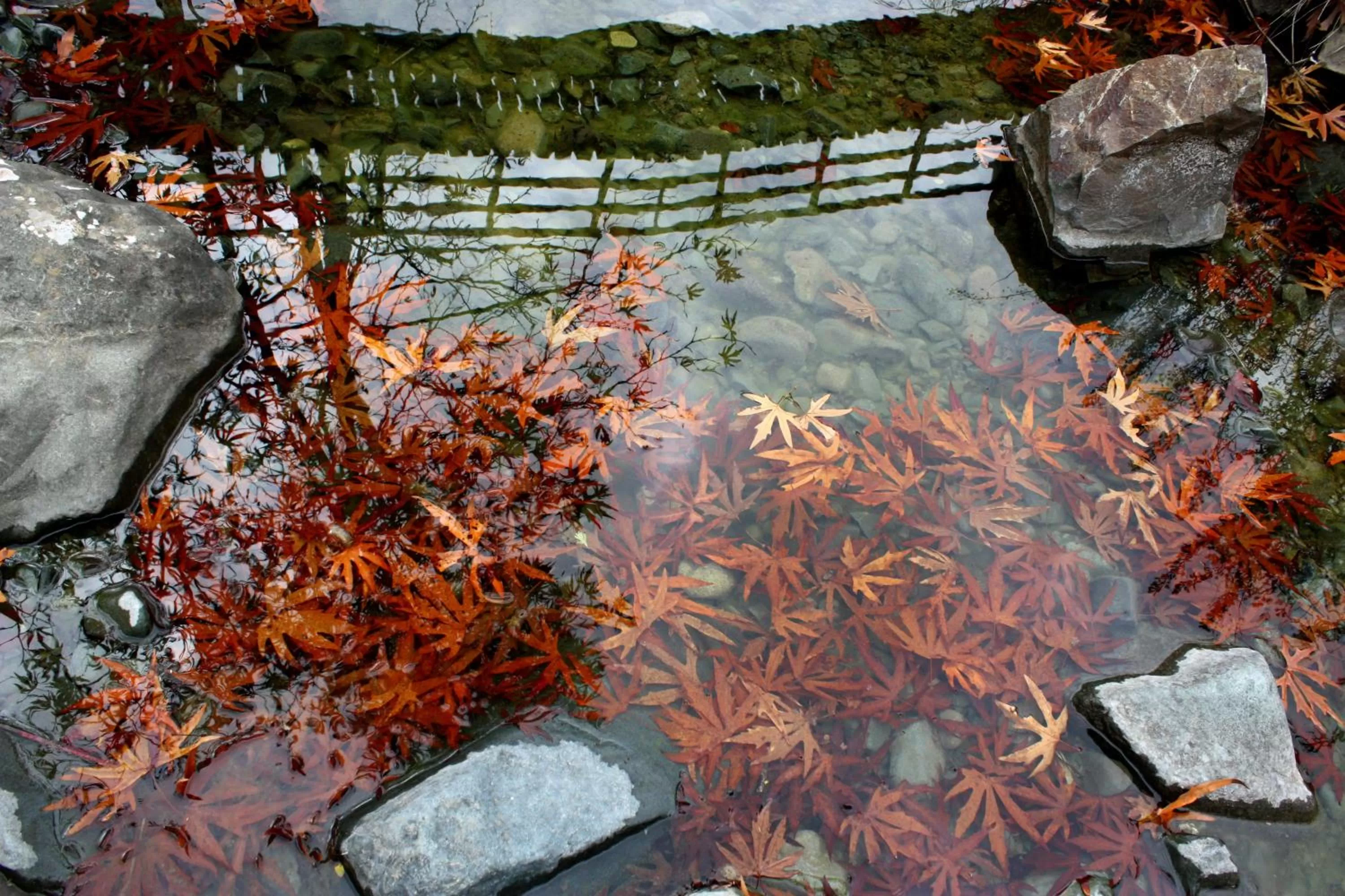 Natural landscape in Aperanti Agrotourism