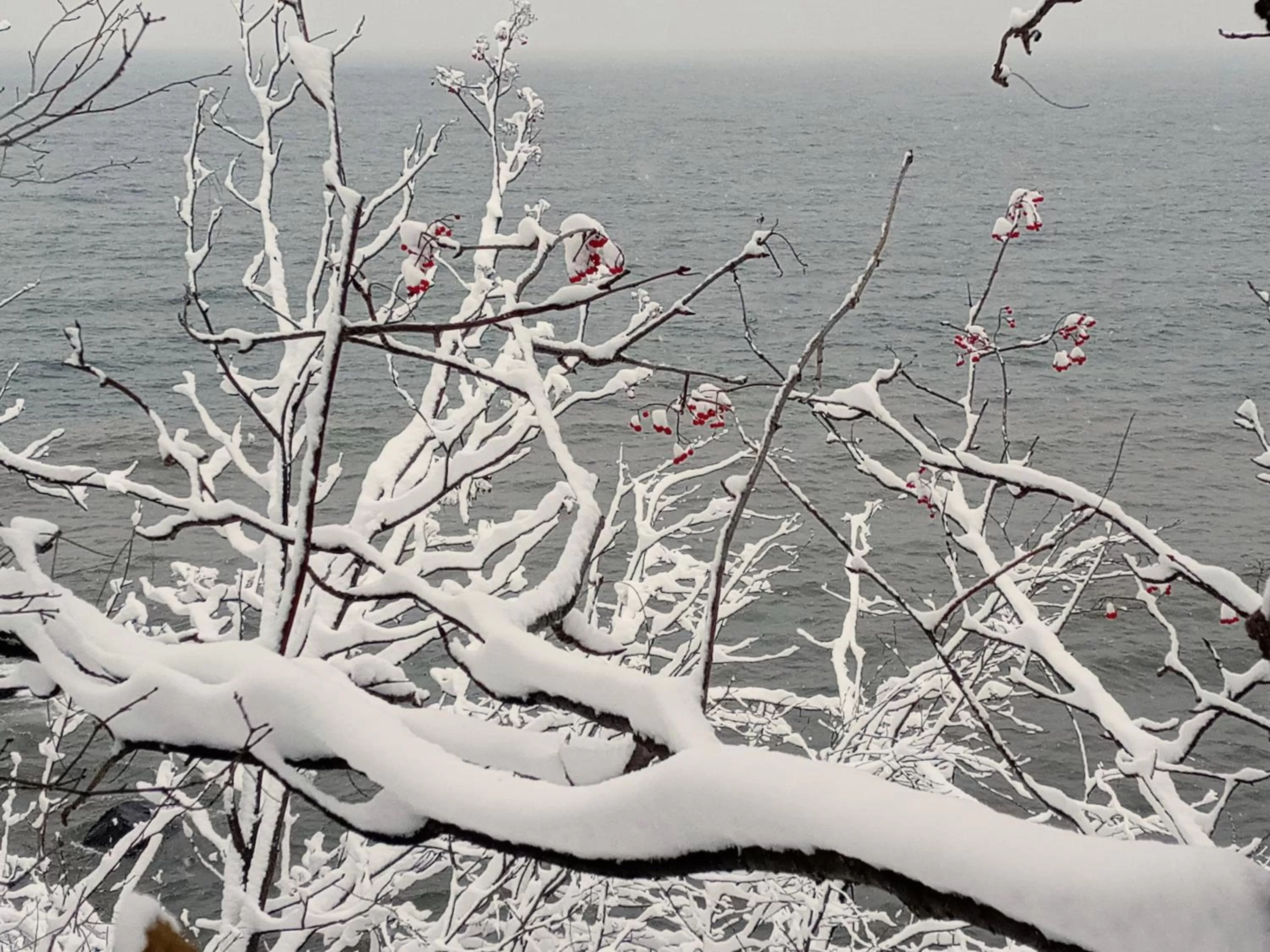Natural landscape in Cliff Dweller on Lake Superior