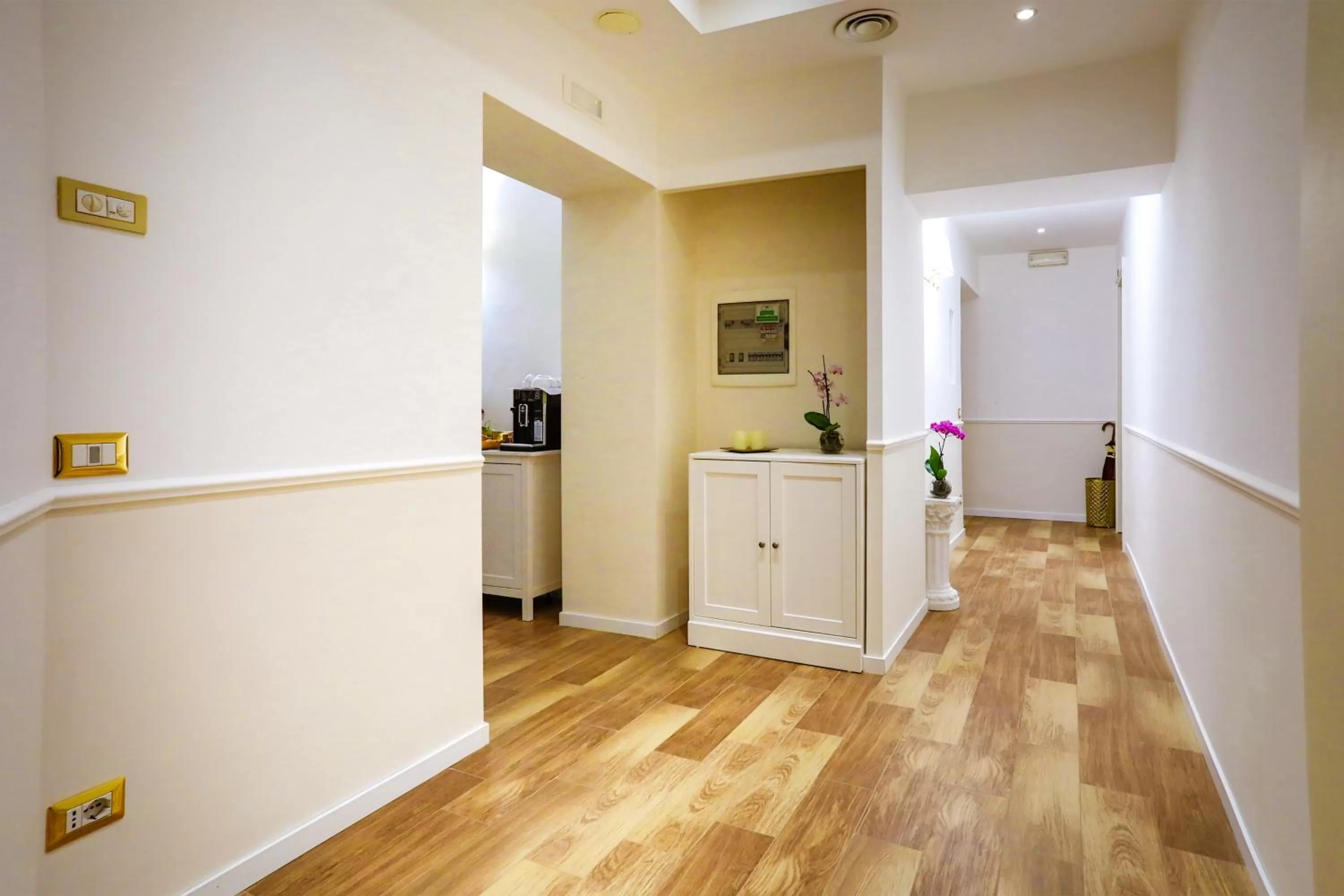 Communal lounge/ TV room, Kitchen/Kitchenette in Elegant Rooms Roma - Guest House