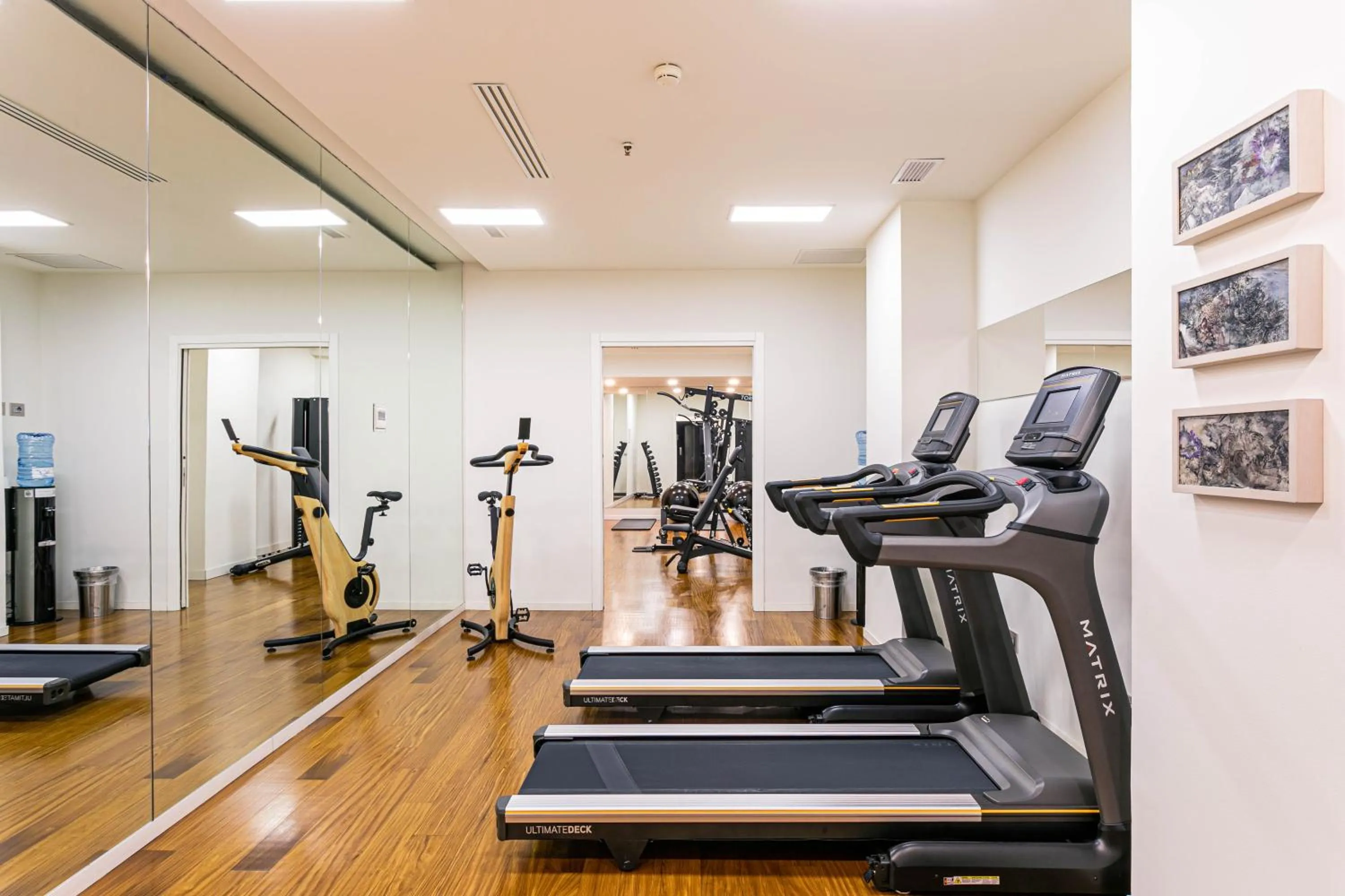 Fitness centre/facilities in Hotel Milano Scala