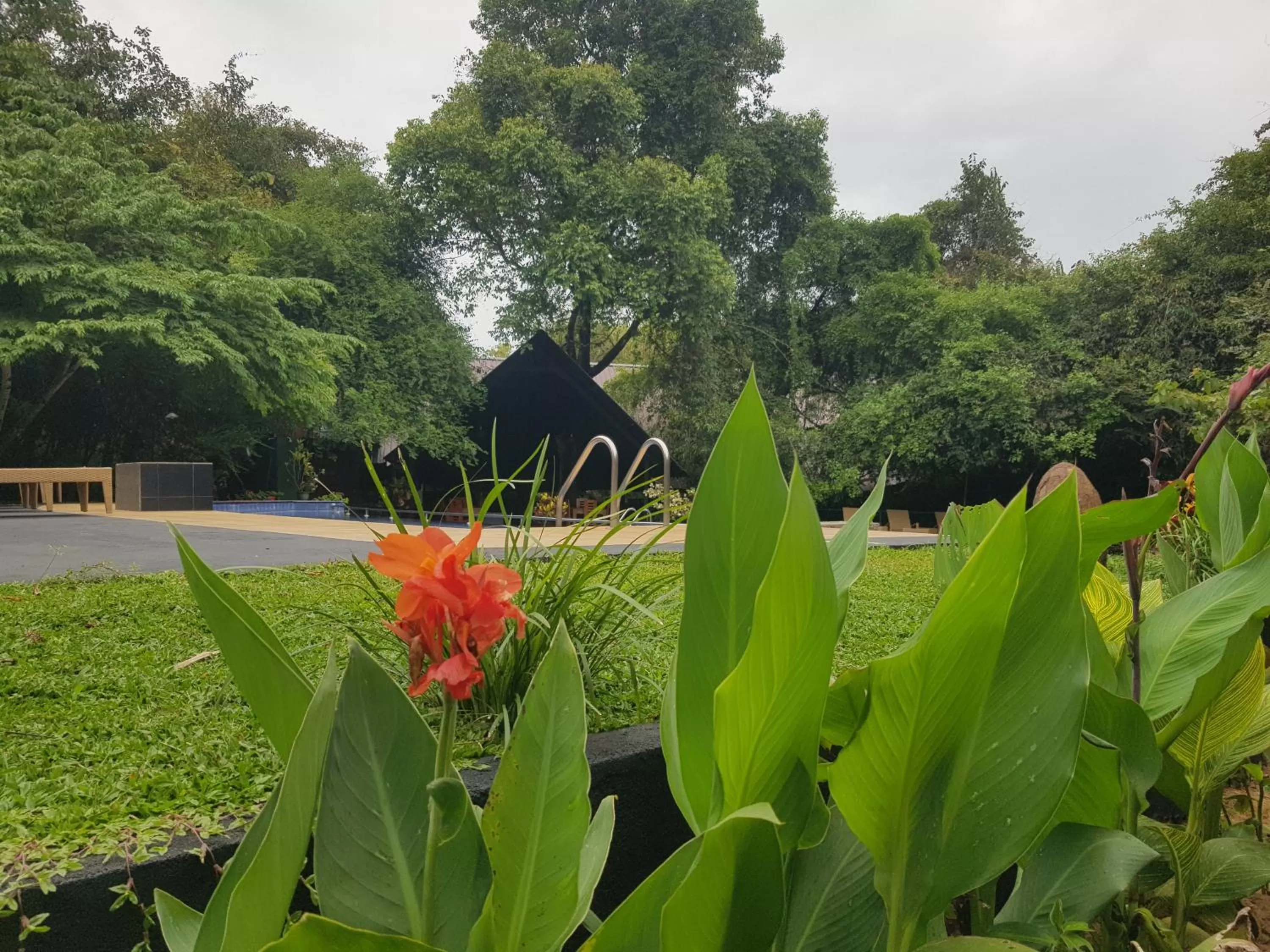 Garden view in Nice Place Resort