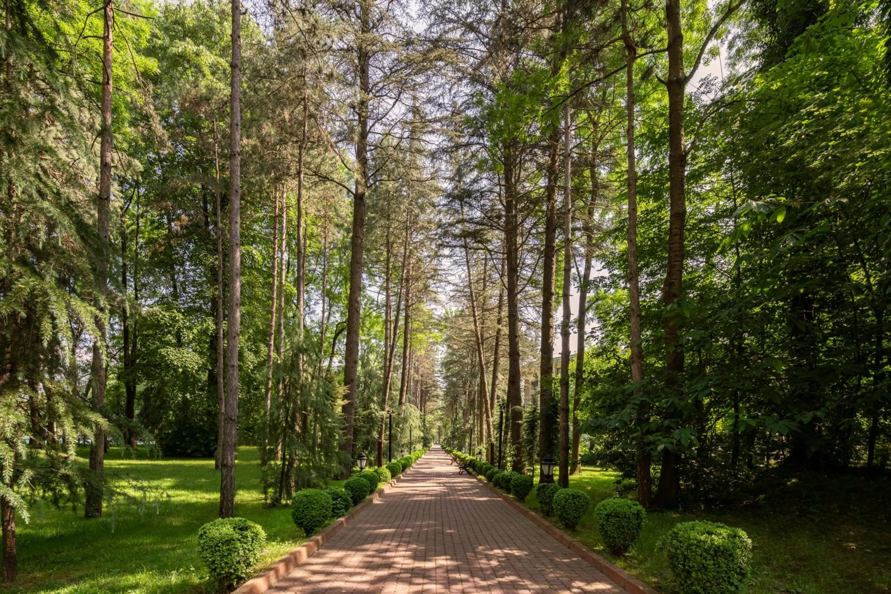 Natural landscape in NG Sapanca Wellness & Convention