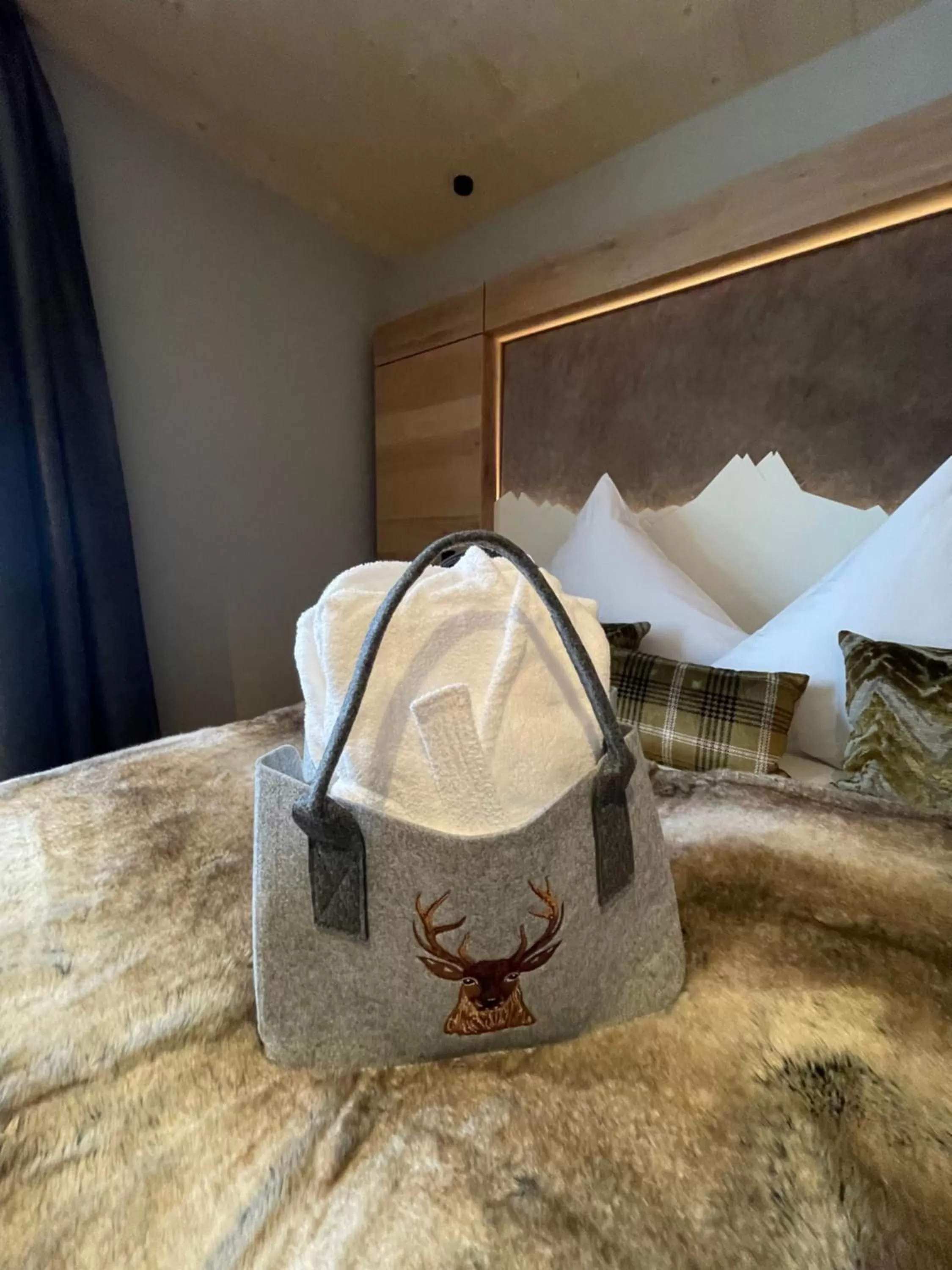 Photo of the whole room in Alpin Lifestyle Hotel Löwen & Strauss