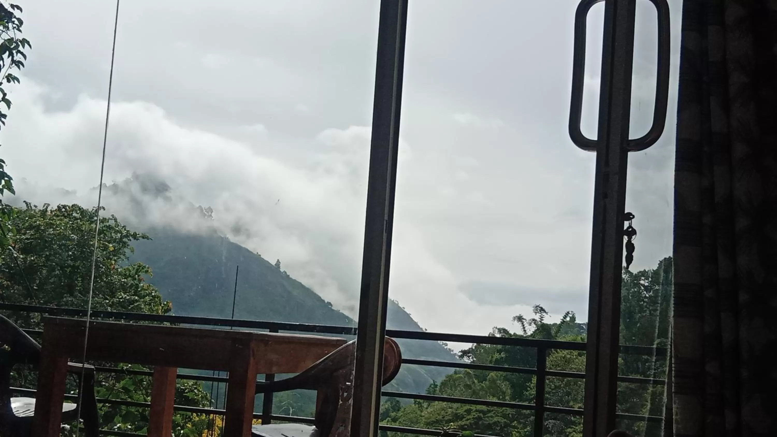 Ella Lucky Panoramic