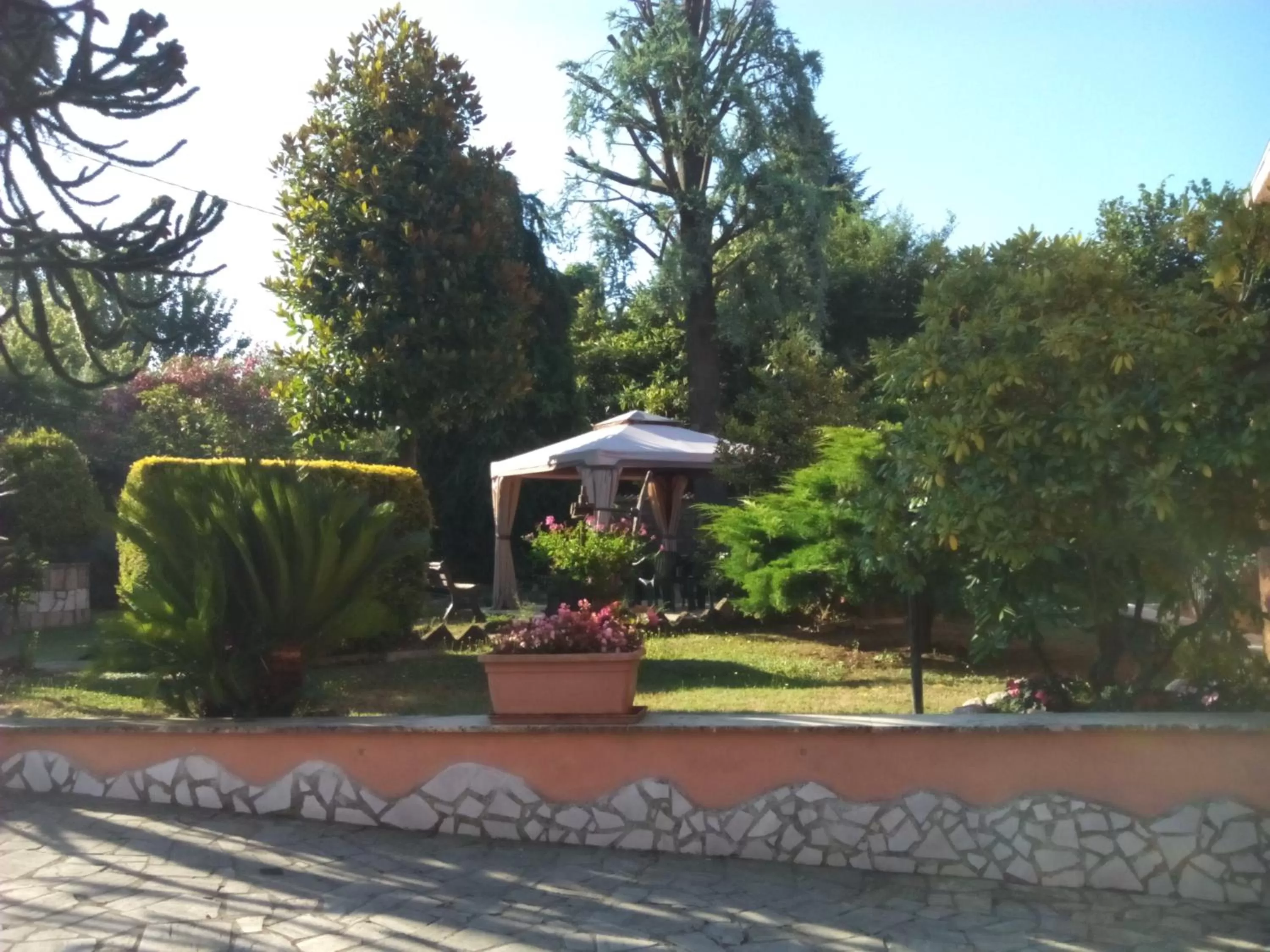 Garden in Il sottosopra