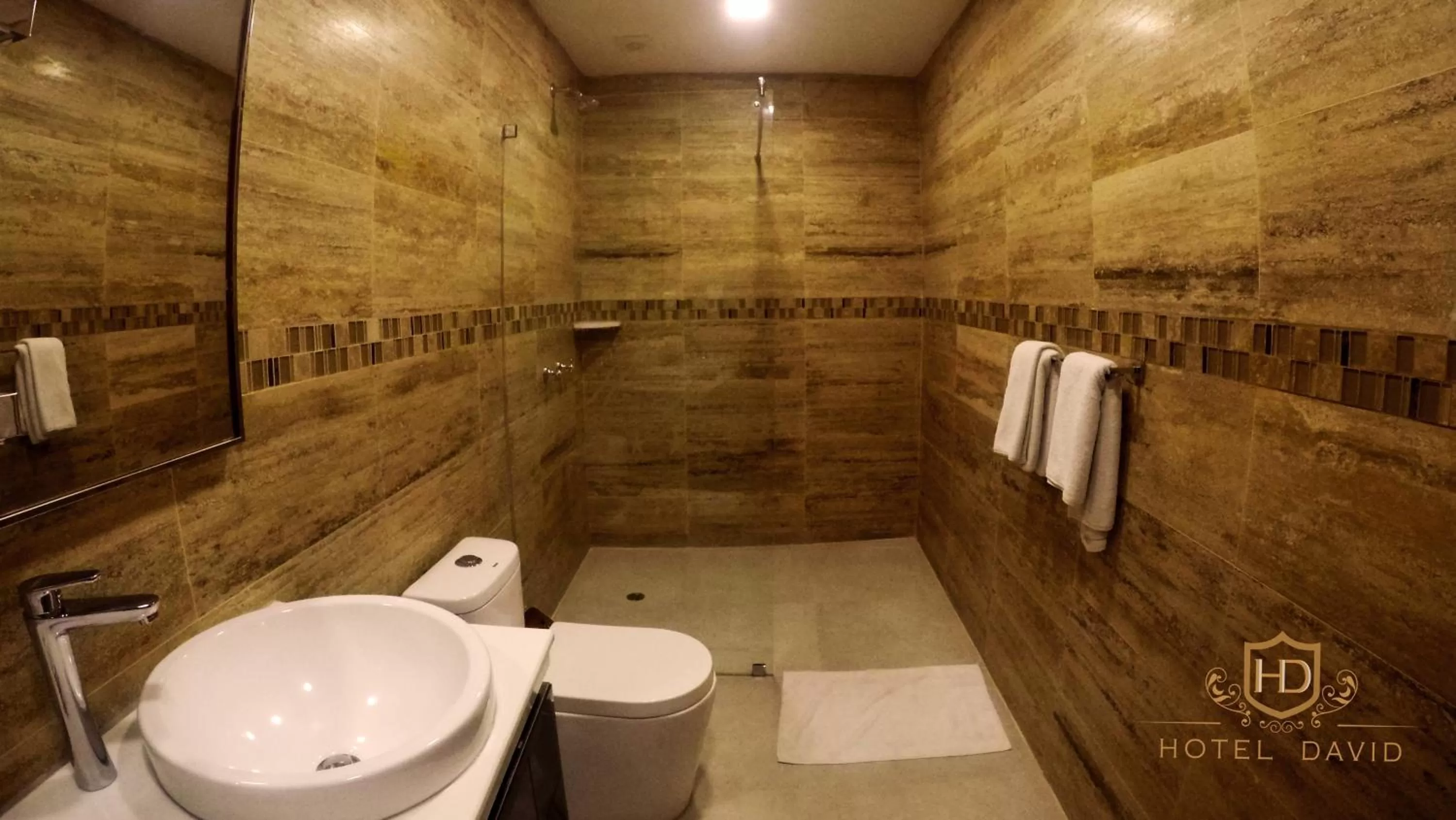 Bathroom in Hotel David
