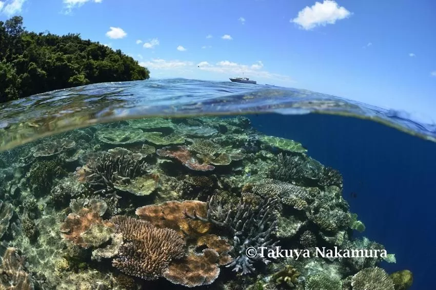 Tawali Leisure & Dive Resort