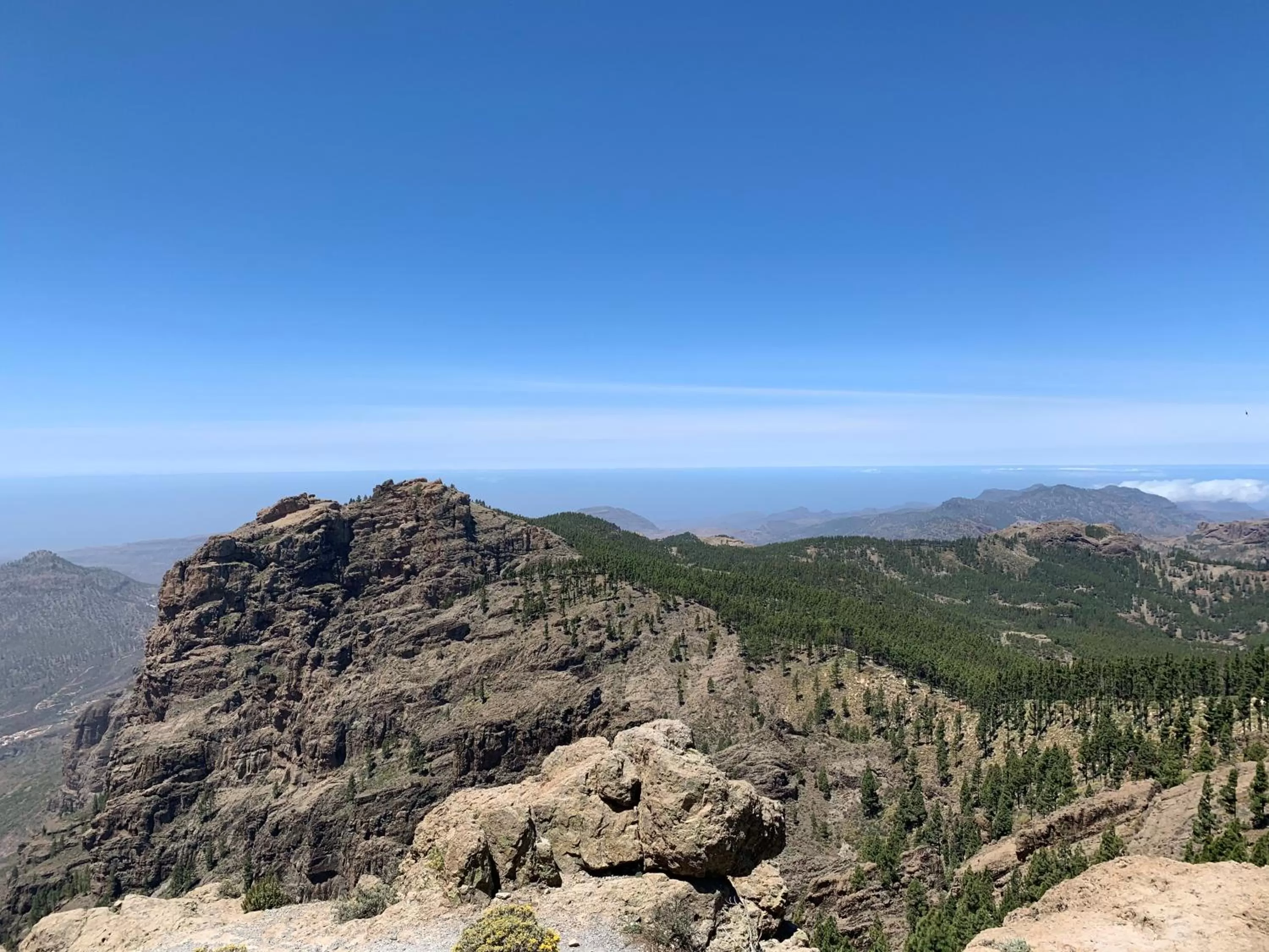 Natural landscape in Villa Rosaura