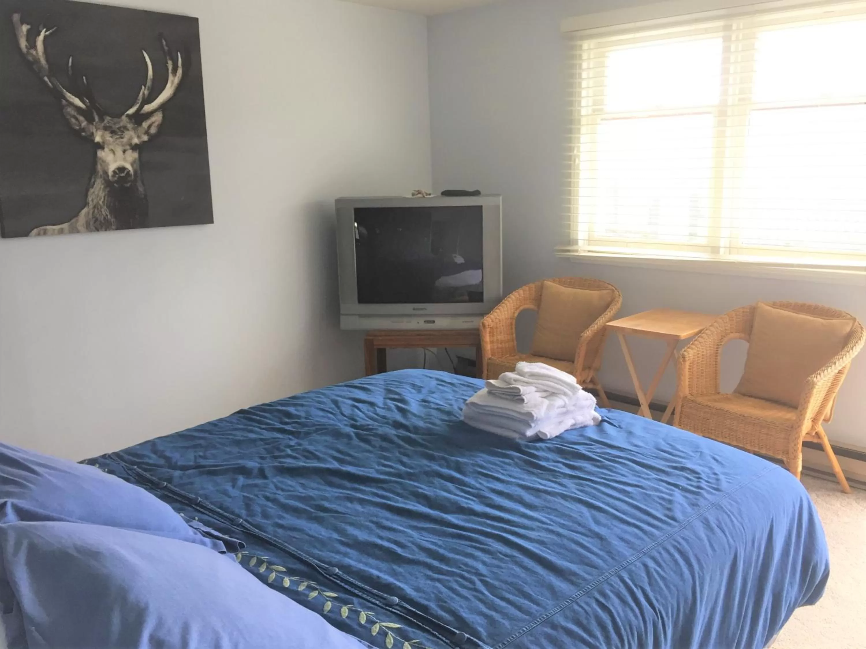 Photo of the whole room, TV/Entertainment Center in Misty River Lodge