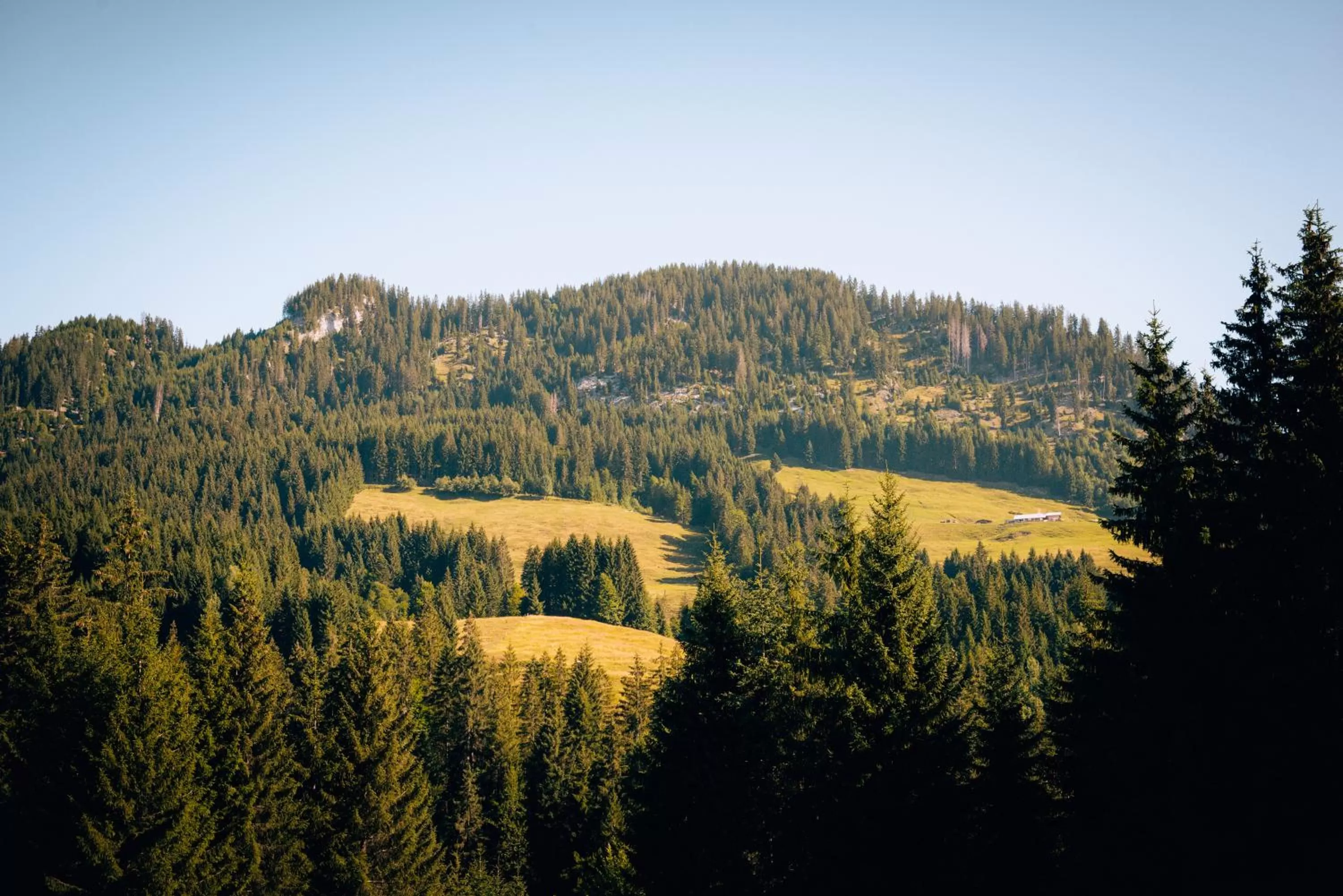 Apartment in Alpengasthof Hörnlepass
