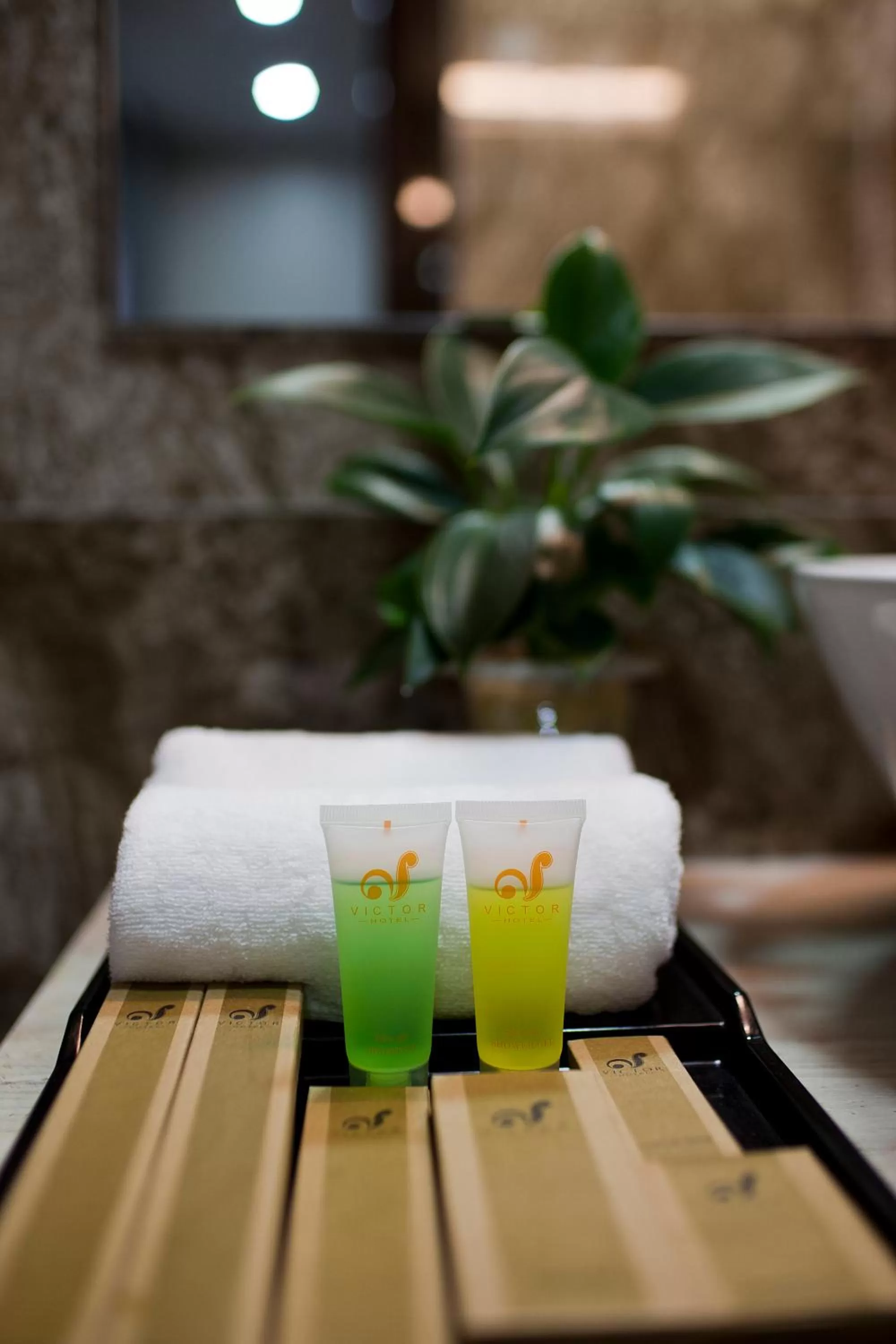 Toilet in Victor Hanoi Hotel